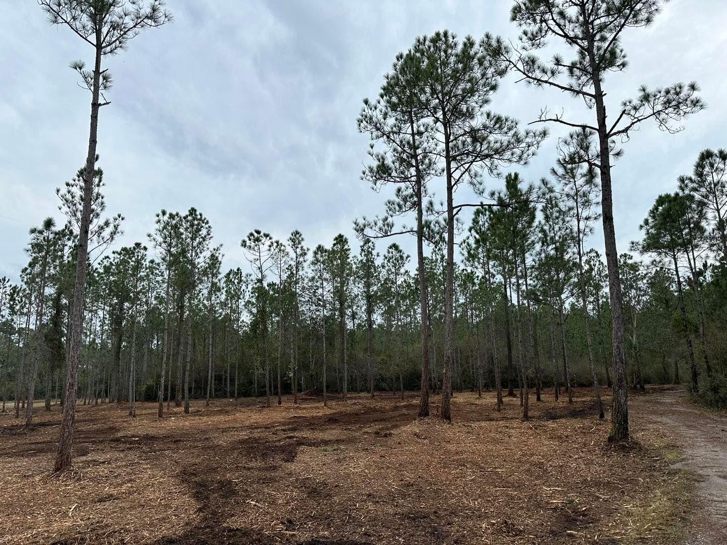 All Photos for White’s Land Maintenance in Milton,, FL