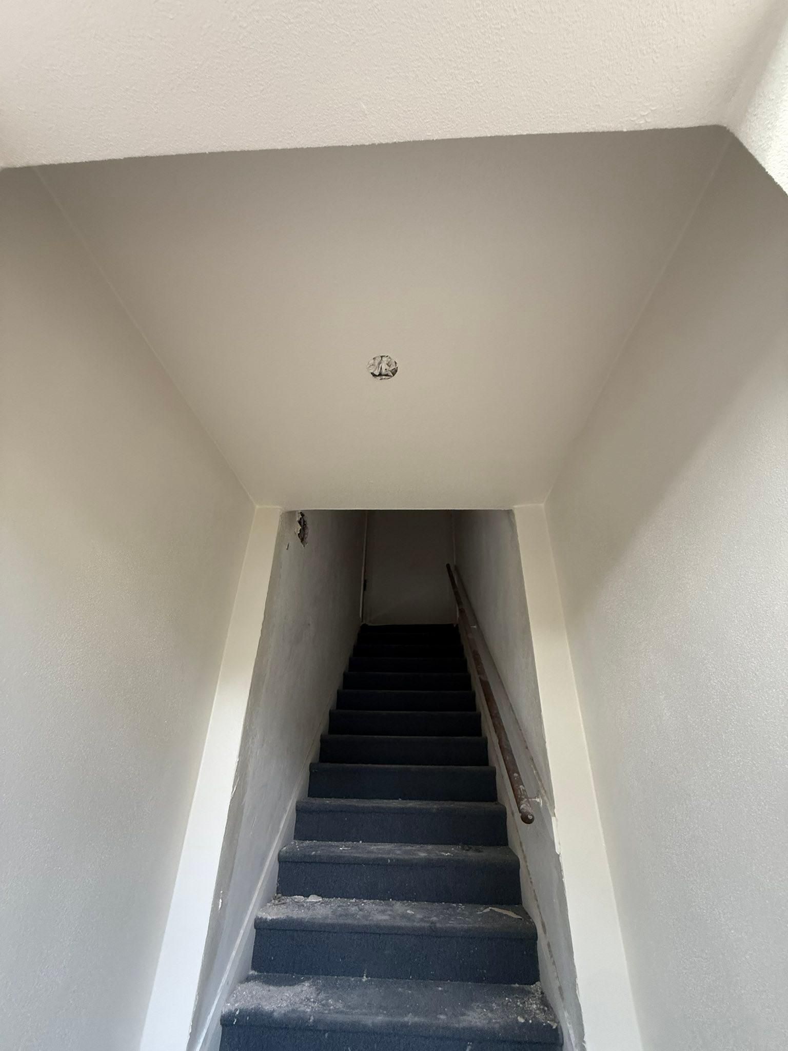  for Escorpio Painting in Tampa, FL