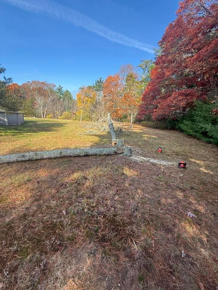  for Lucas Property Maintenance LLC in New Bedford, MA