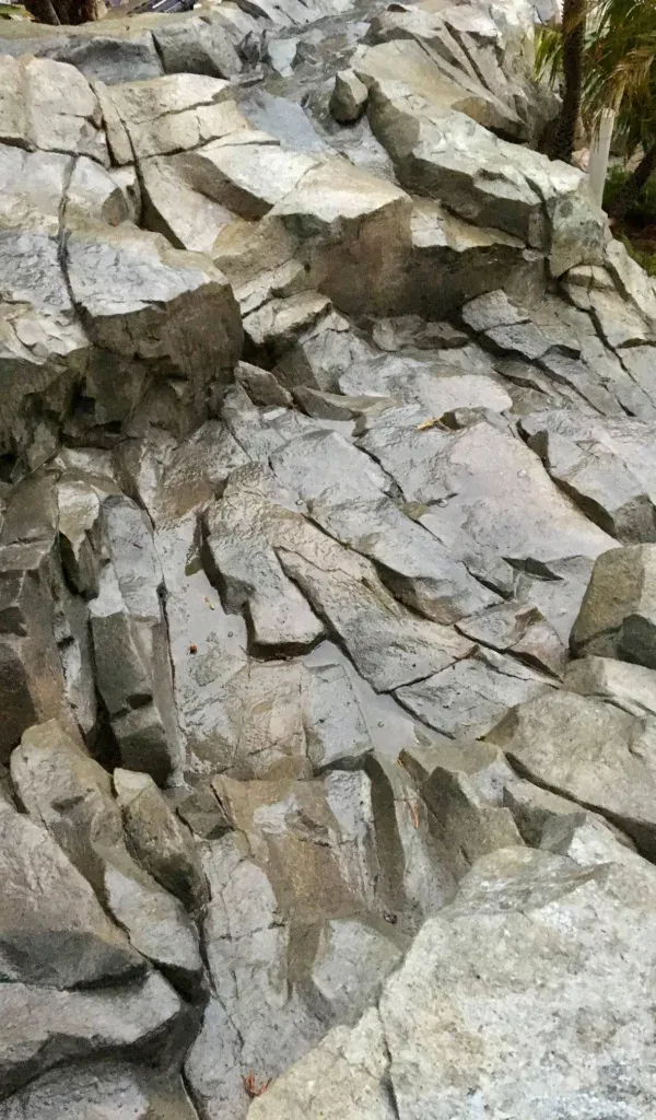  for Texas Curb N Borders in Houston, TX