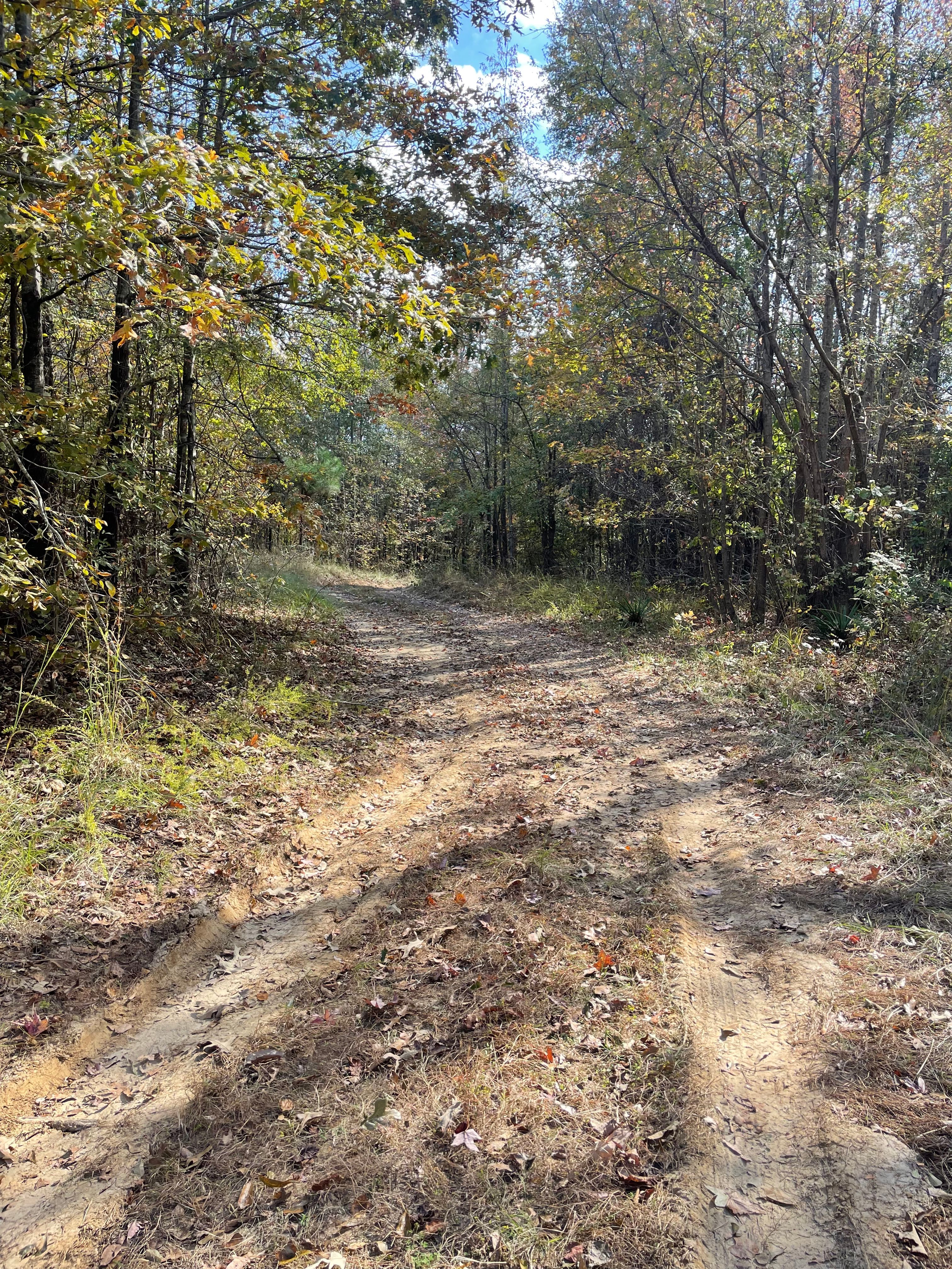  for Polasini Land Development in Starkville, MS