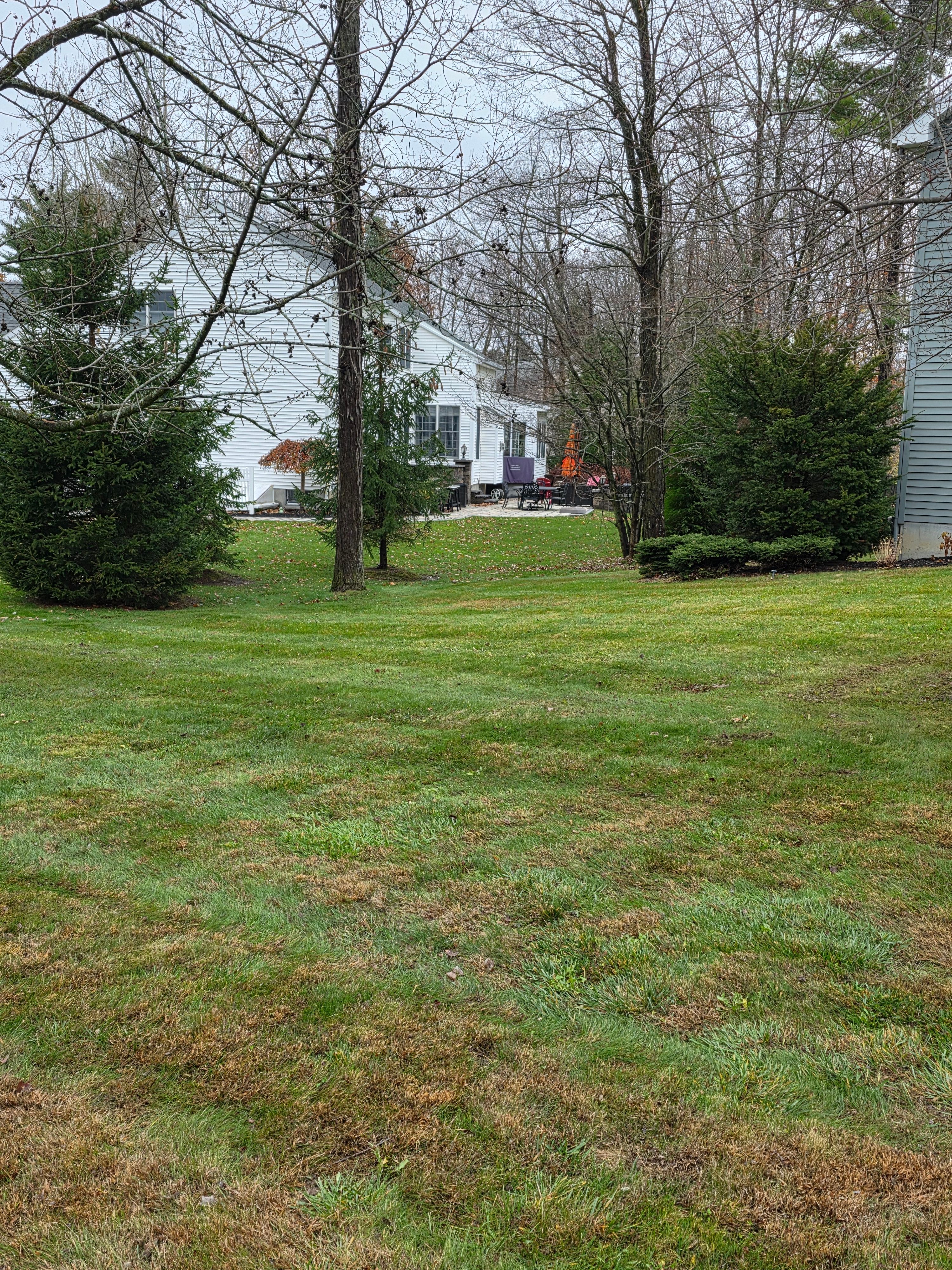  for Sweet Scapes in Ballston Spa, NY