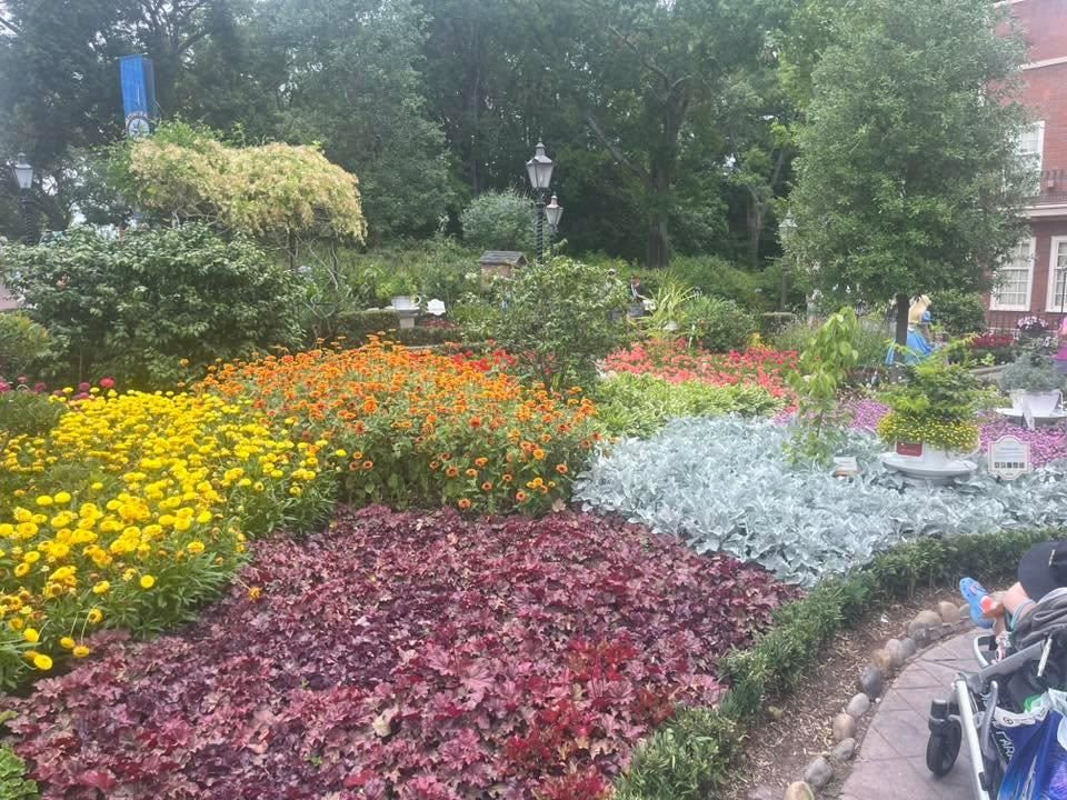  for Adams Landscape Management Group LLC. in Loganville, GA