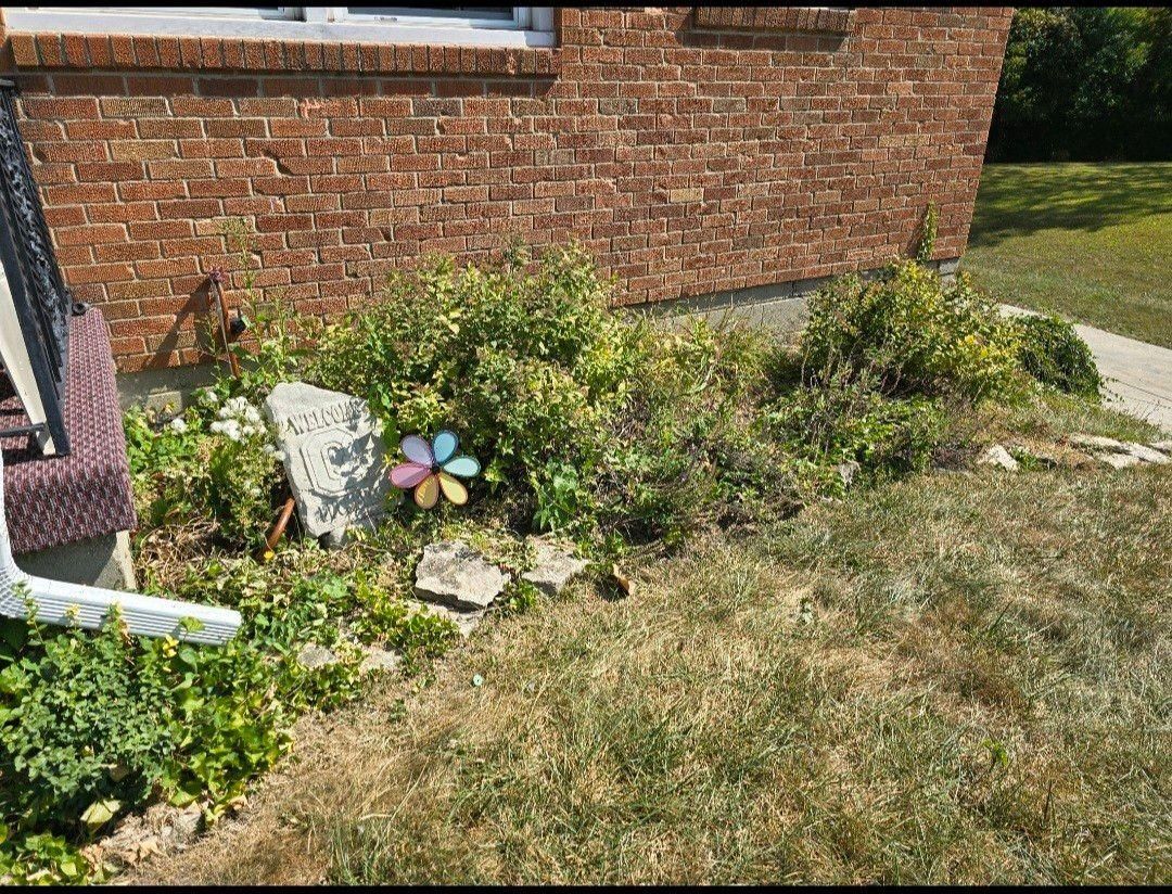 All Photos for Tingley's Green Land Services in Springfield, Ohio