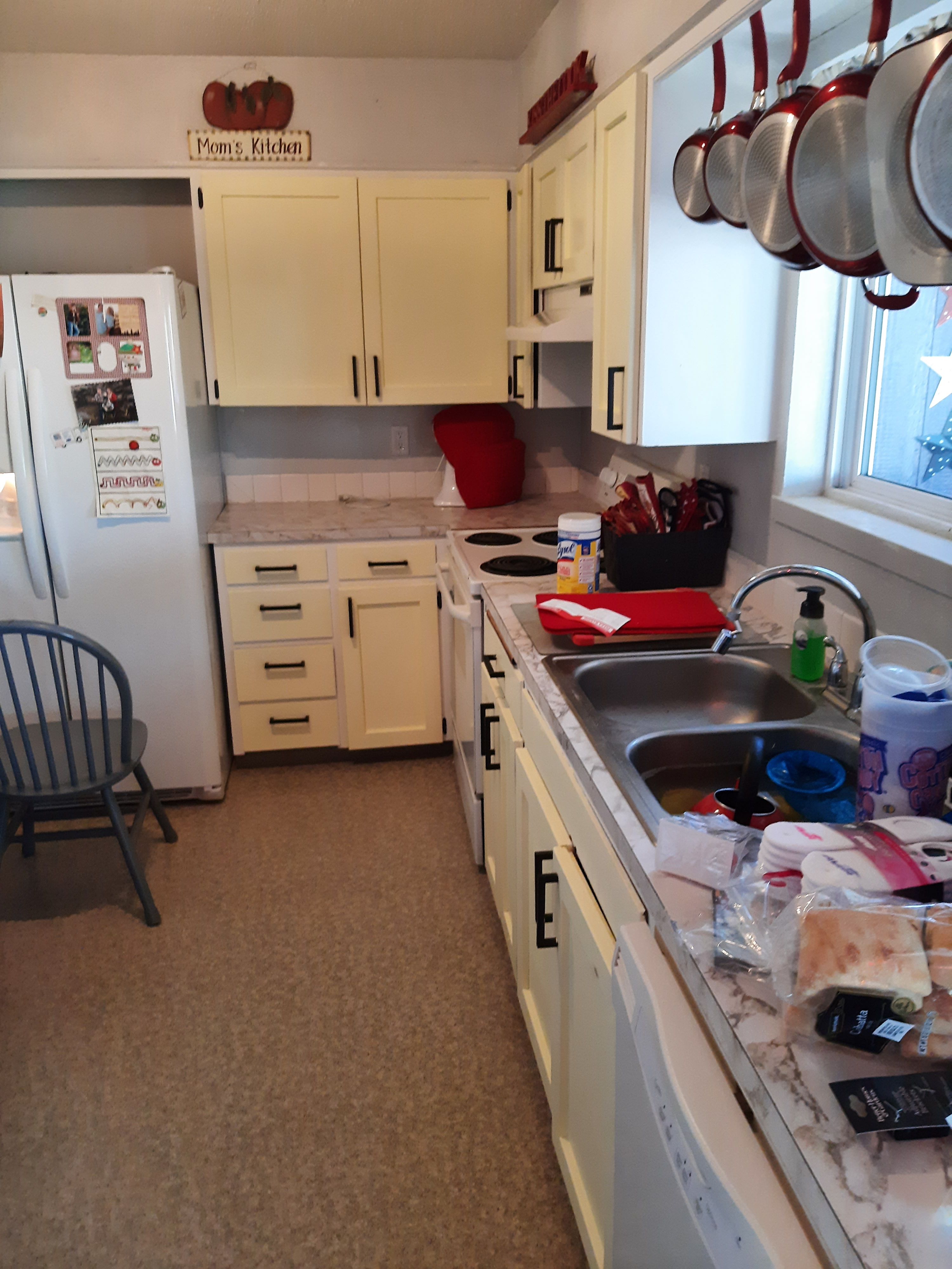  for Wild Mutt Handyman Services in Pullman, WA