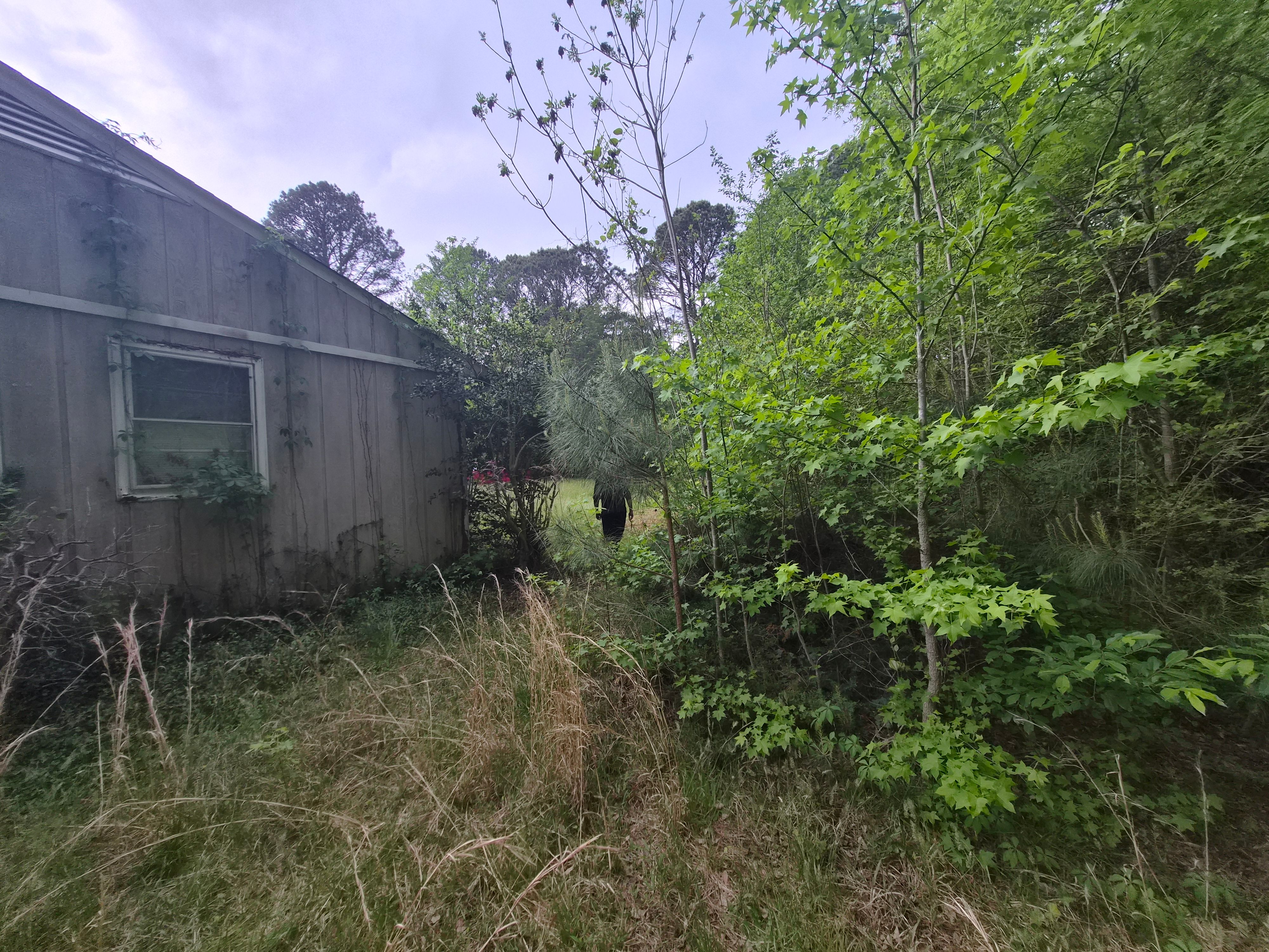 All Photos for 4 Points Lawncare LLC in Hayes, VA