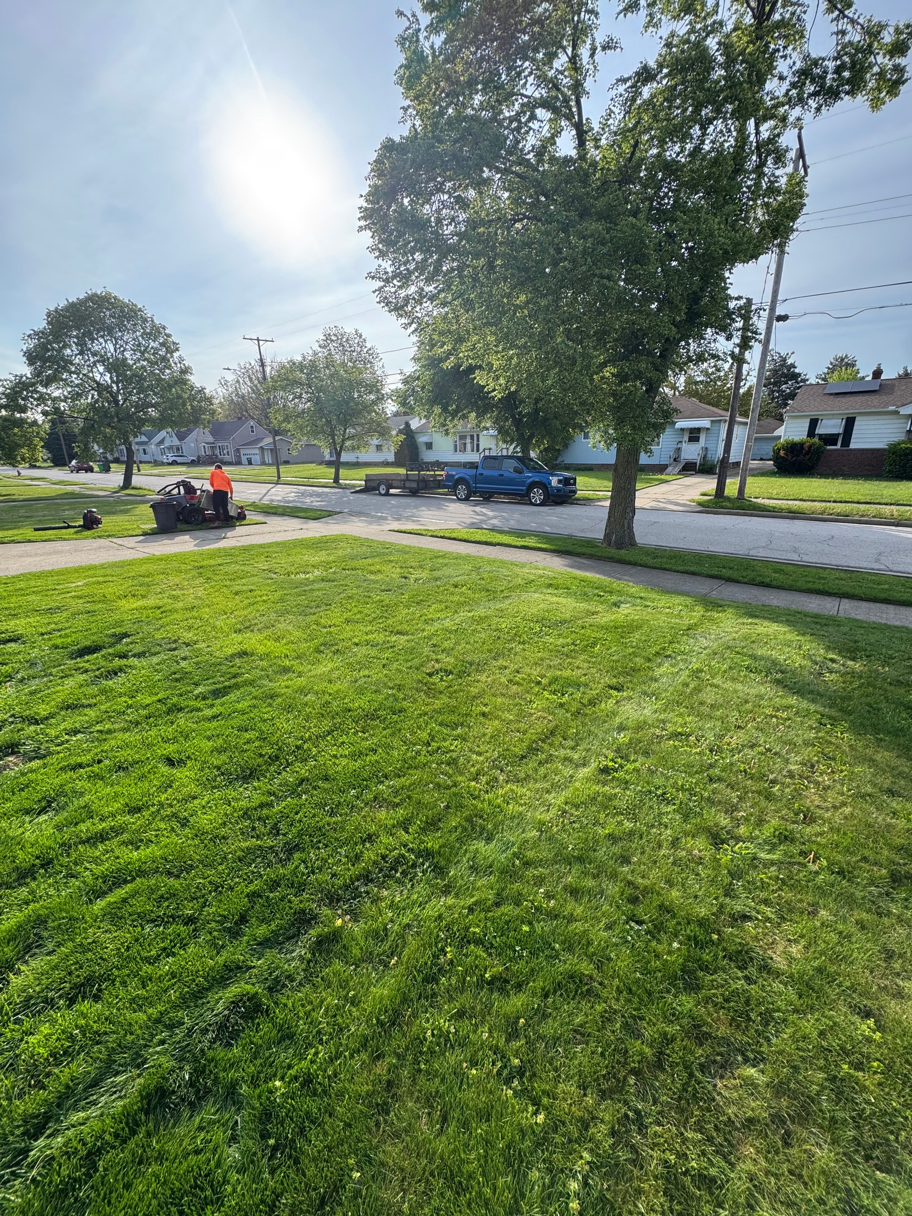  for Yard Theory in Willowick, OH