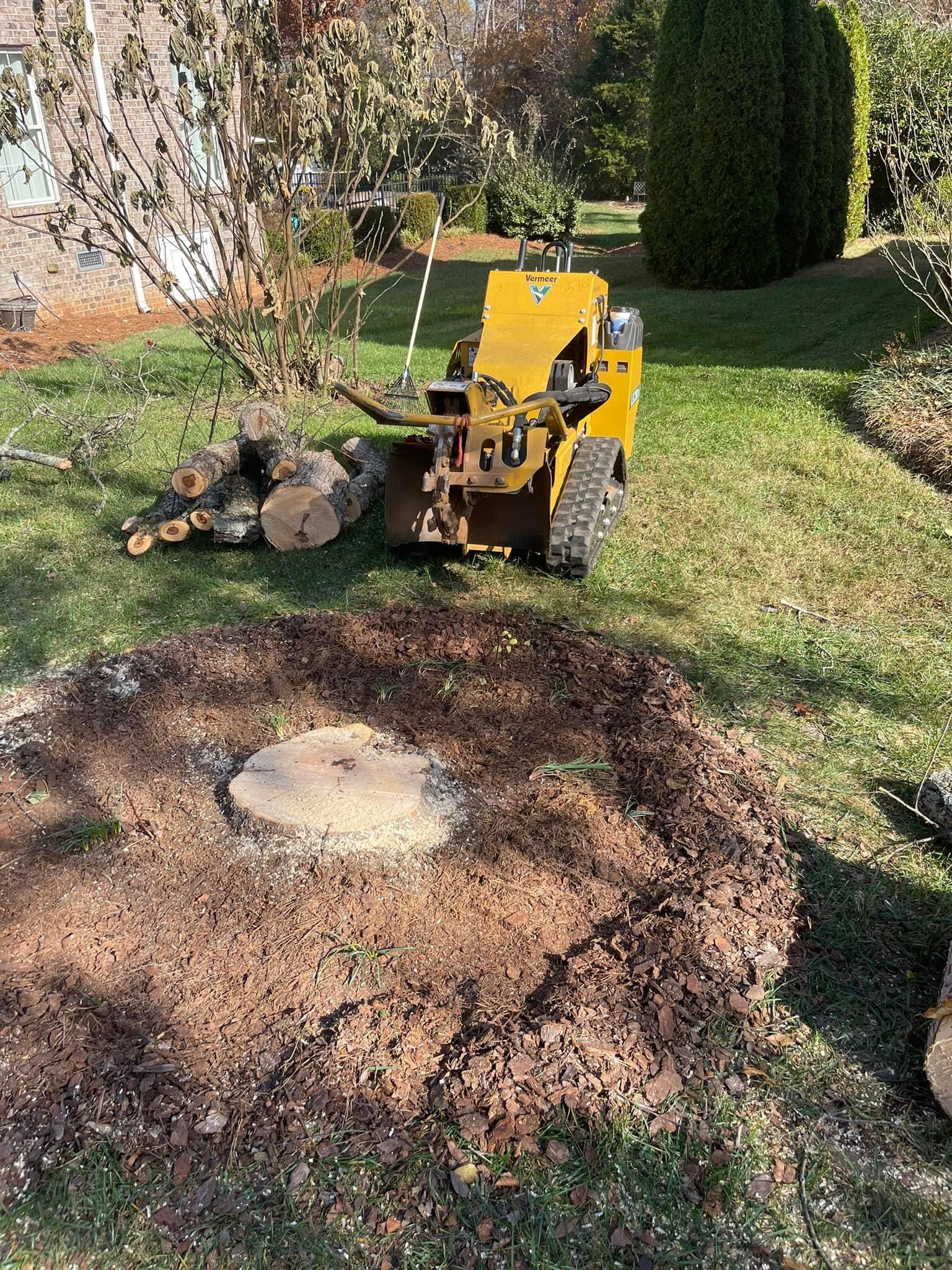  for Stem Tree Service in Belmont, NC