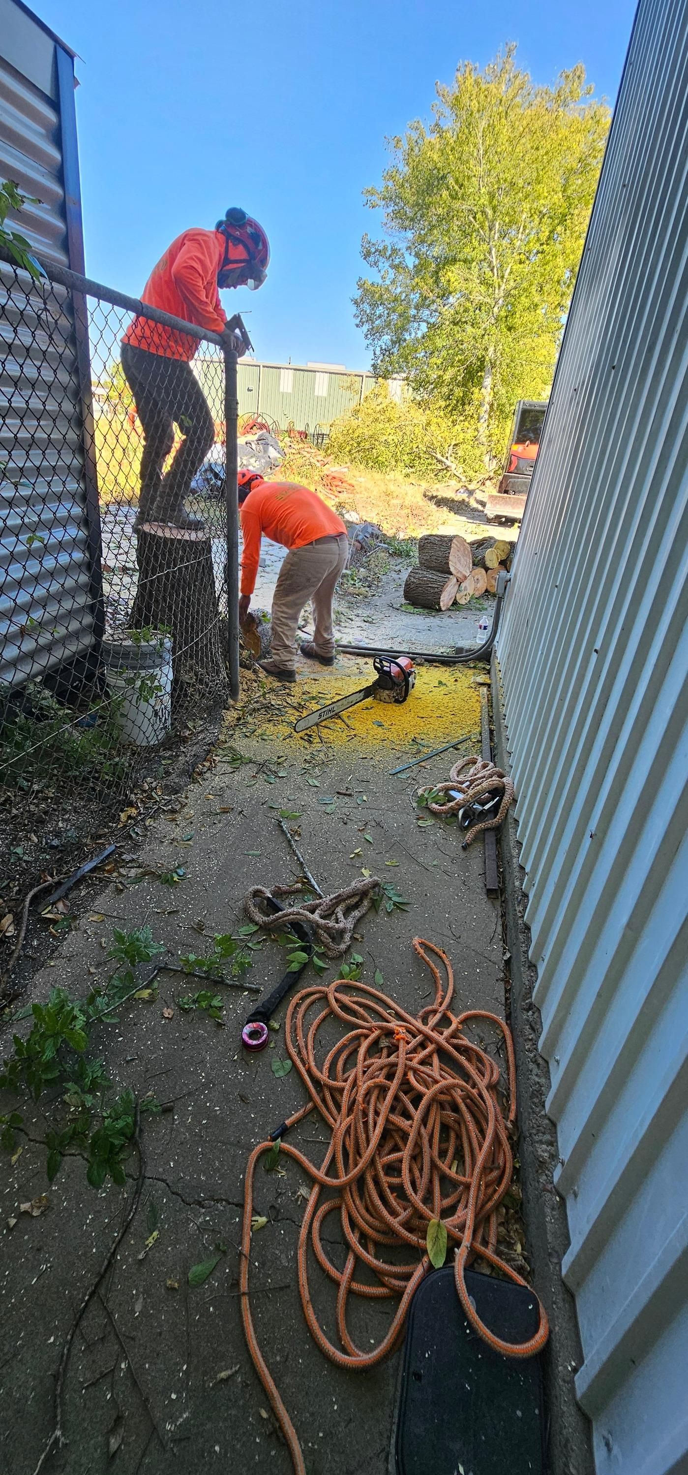  for Servin's Tree Care  in Houston, TX