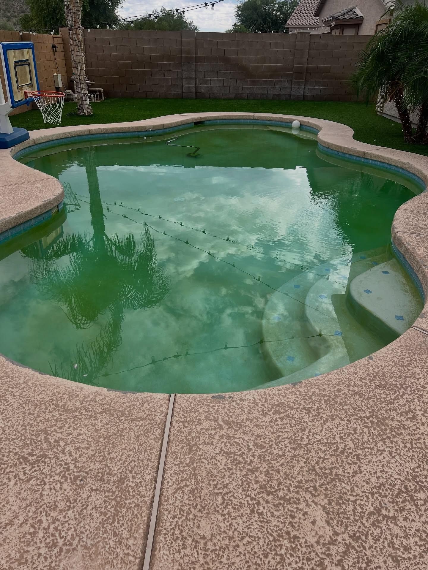 All Photos for Trublu Pool and Spa in Queen Creek, AZ