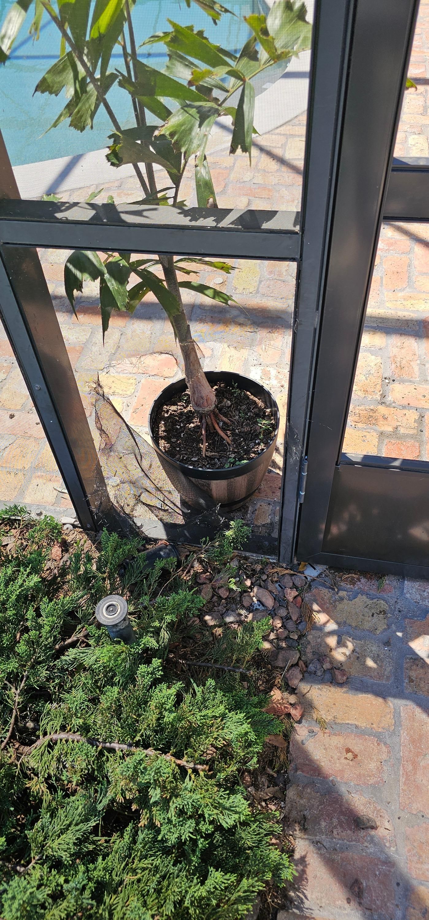  for All Pro Screen in Central Florida, FL