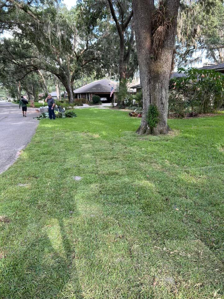 All Photos for Estrada All Pro Lawn Service in Auburndale, Florida