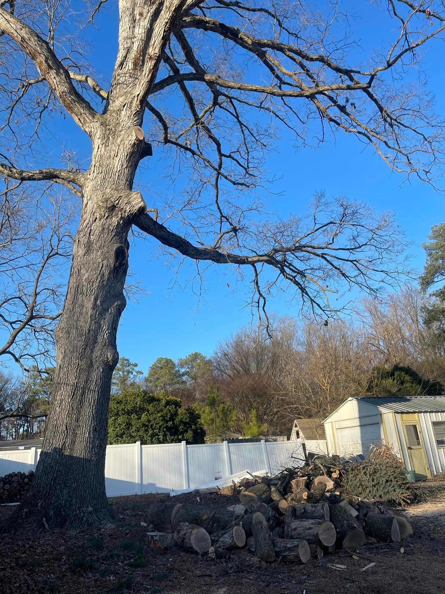  for Ricky's Tree Service & Property Care in Orange, VA