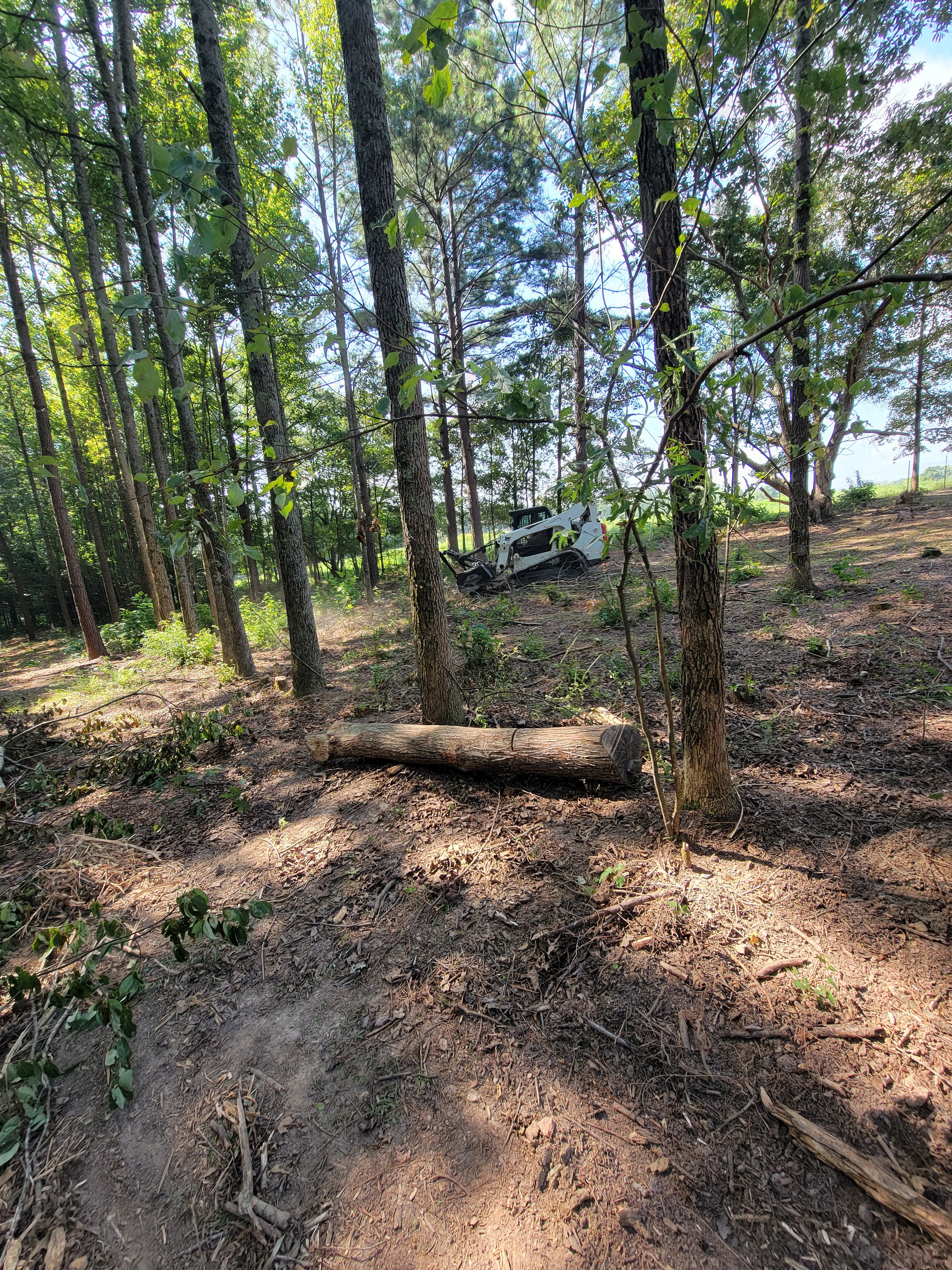  for Z's Land Management & Forestry Mulching in Smithville, TN