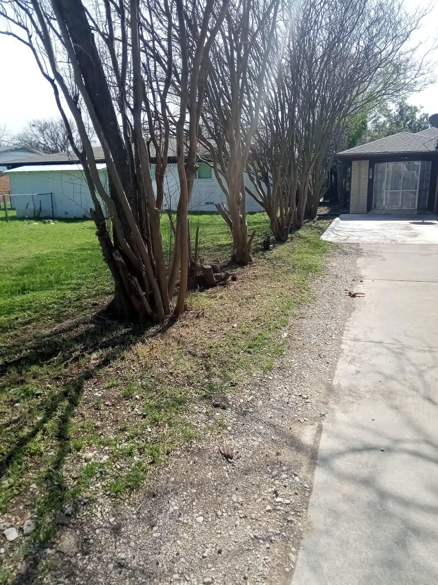 Mowing for Emergency Yard Care LLC in Waxahachie, TX