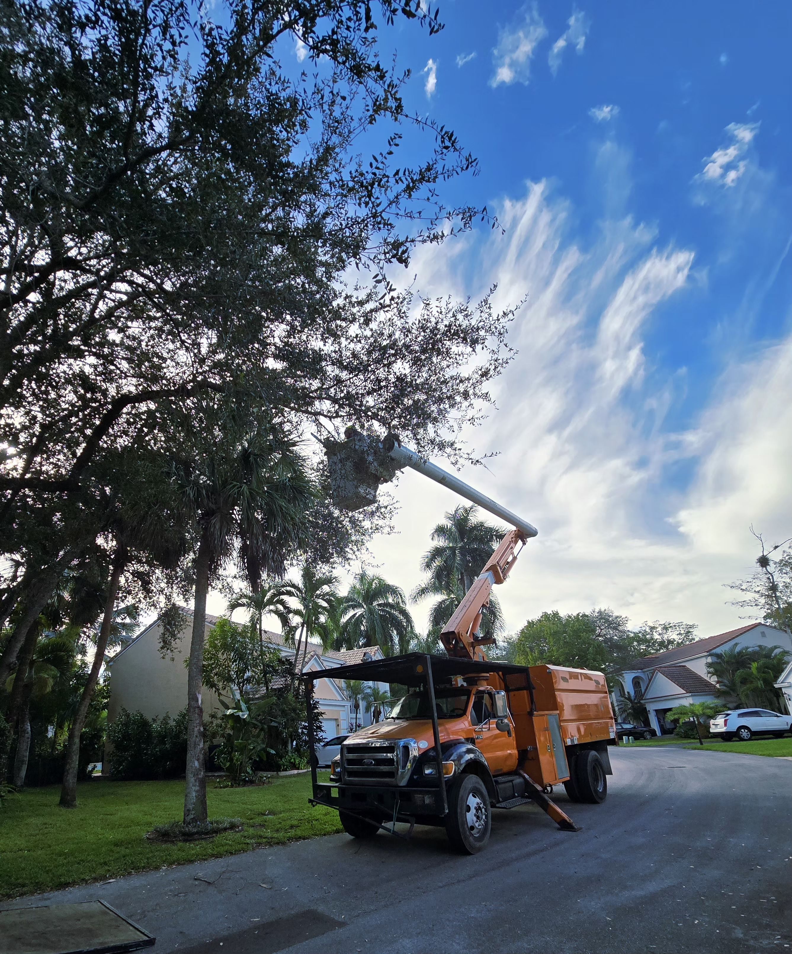  for Bridgewater Arbor Care LLC in Jupiter, FL