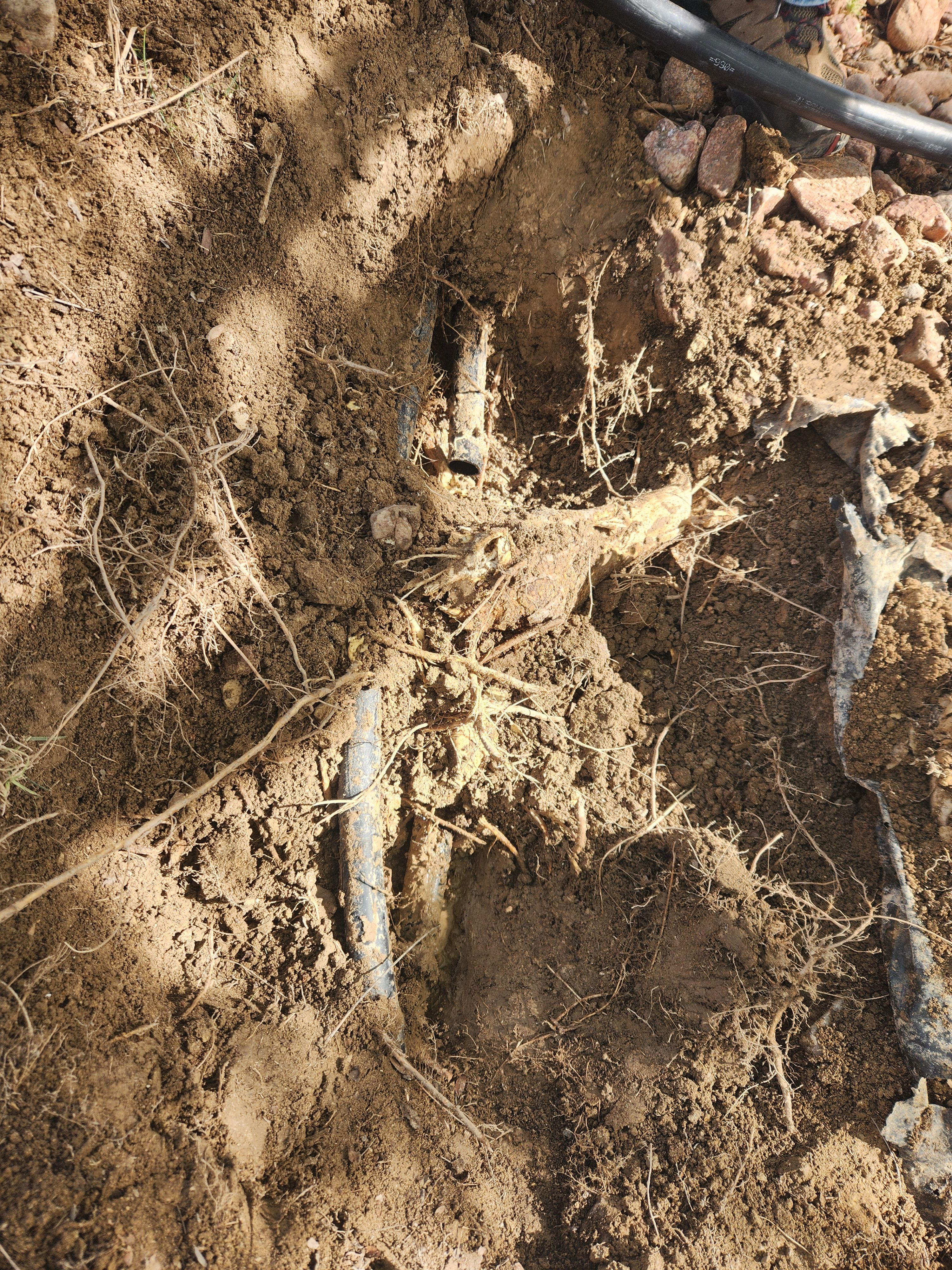 All Photos for CDM Sprinkler in Pueblo County, CO