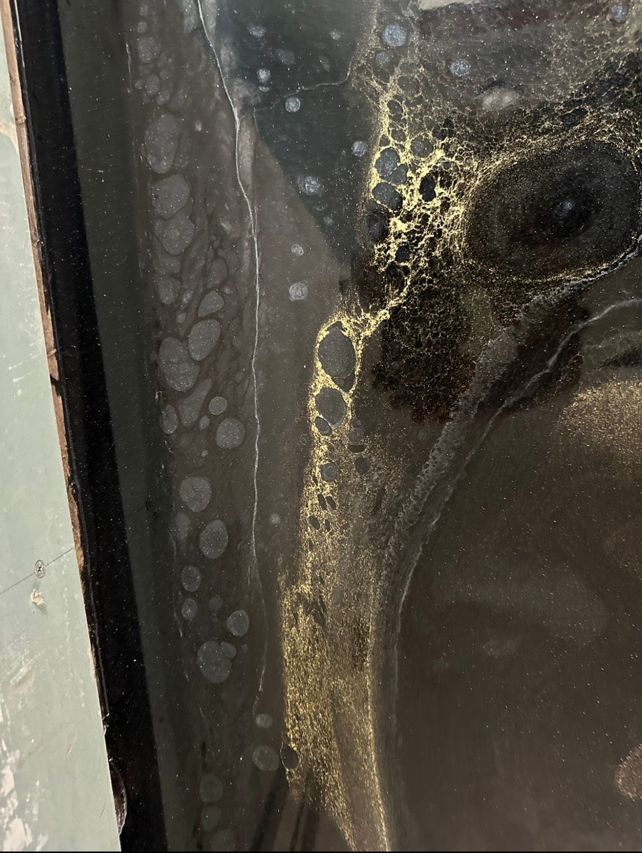  for DLB Home Improvement, LLC in Westfield, NJ