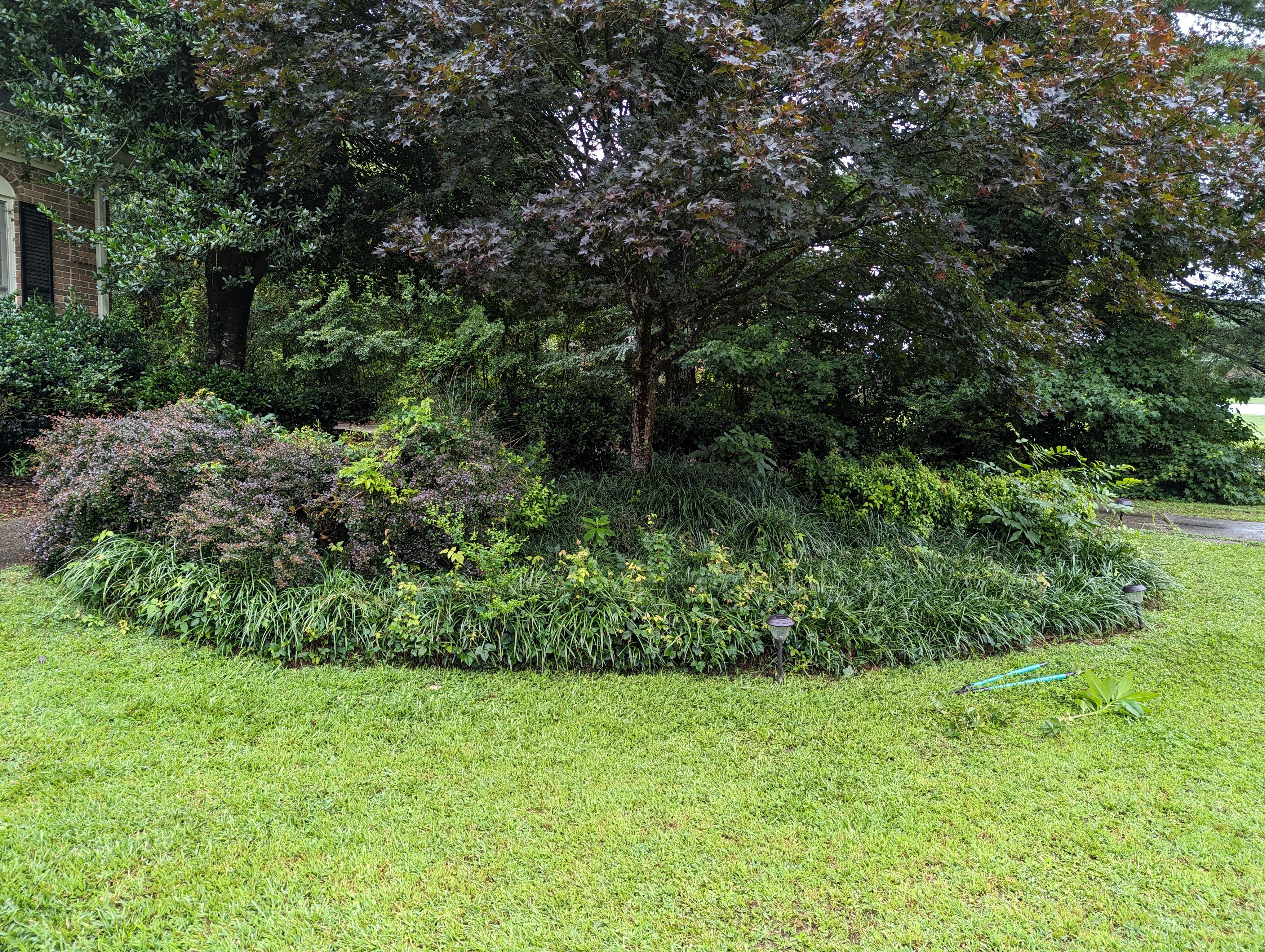  for Fantastic Lawn Care in Fayetteville, GA