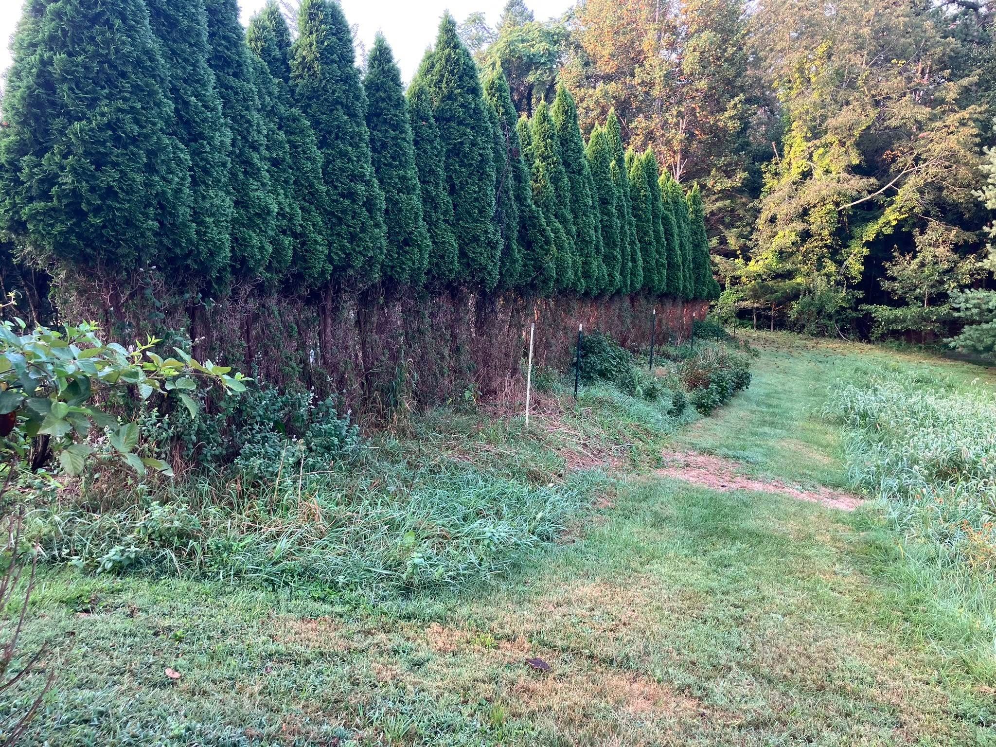  for 9999 Building and Renovation LLC in Warrenton, VA