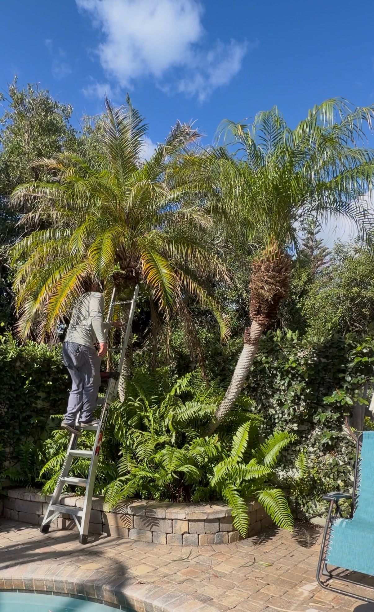  for Vanic's Landscaping in Port Orange, FL