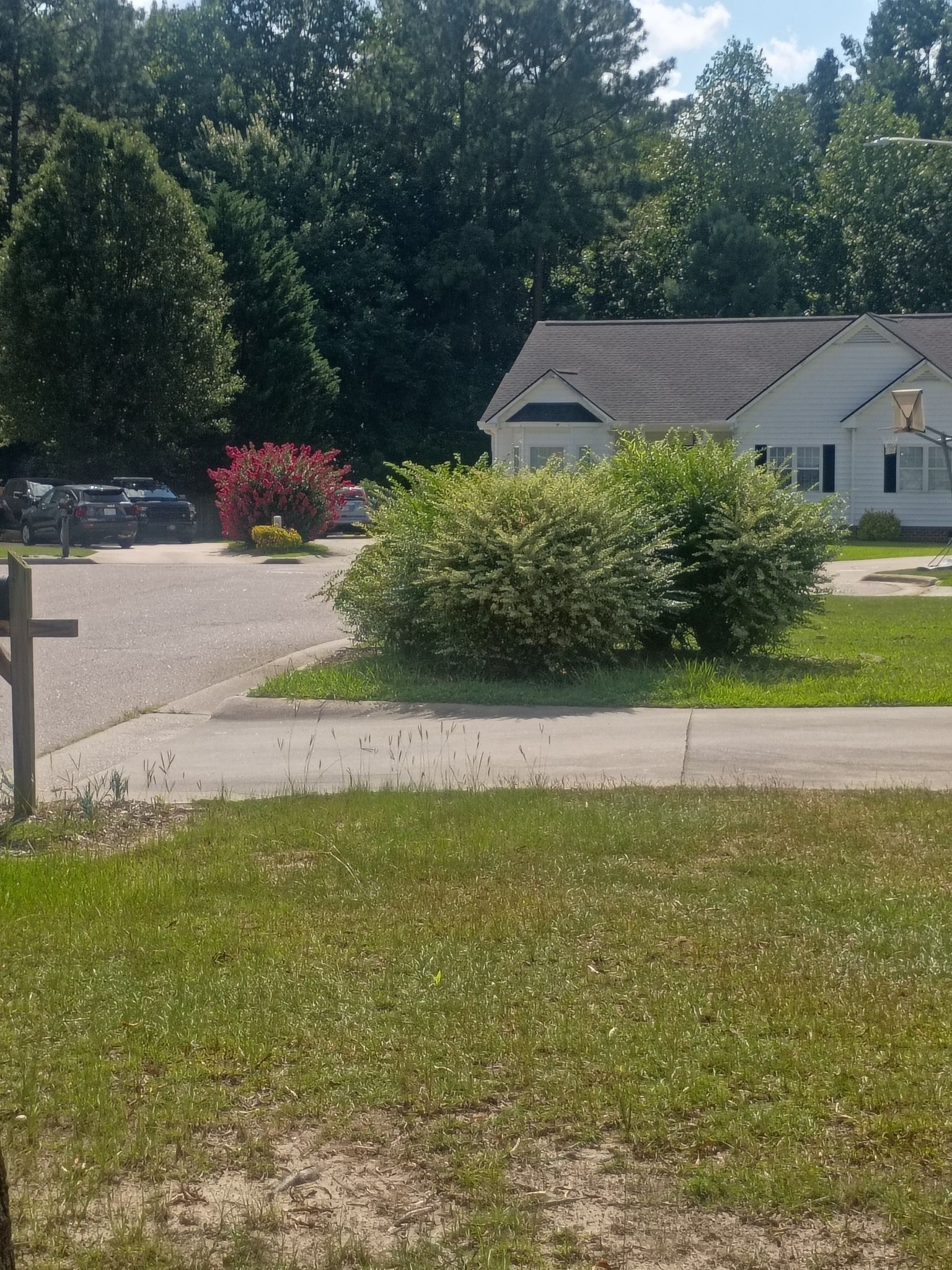  for Brothers On Point Lawn And Junk Removal in Wilson, NC
