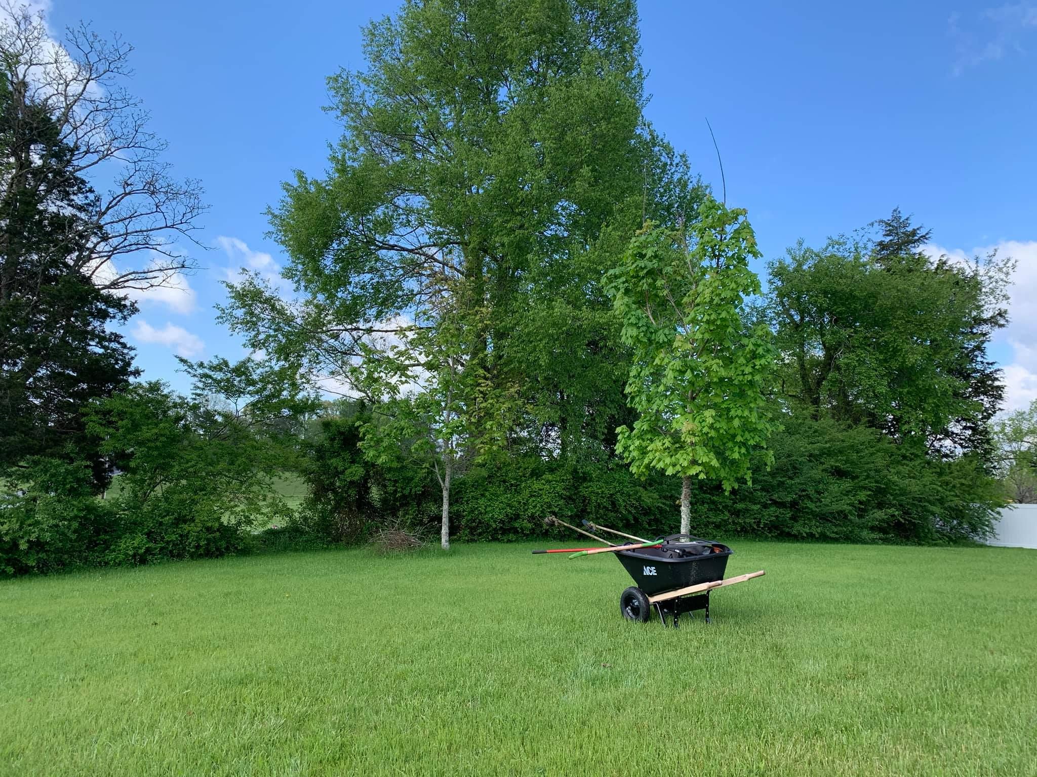  for Fenix Lawn Care in Cookeville, TN