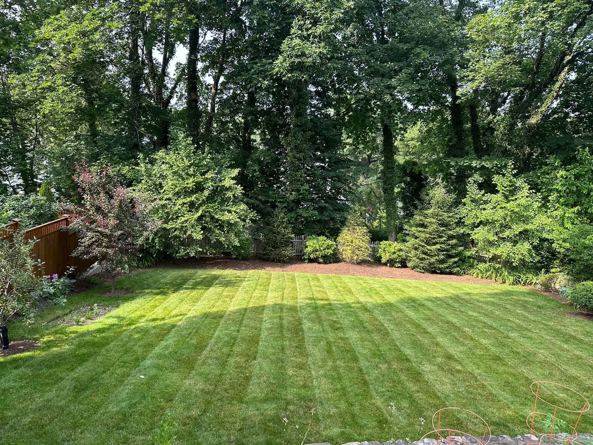  for Saavedra & Sons Landscaping in Waltham, MA