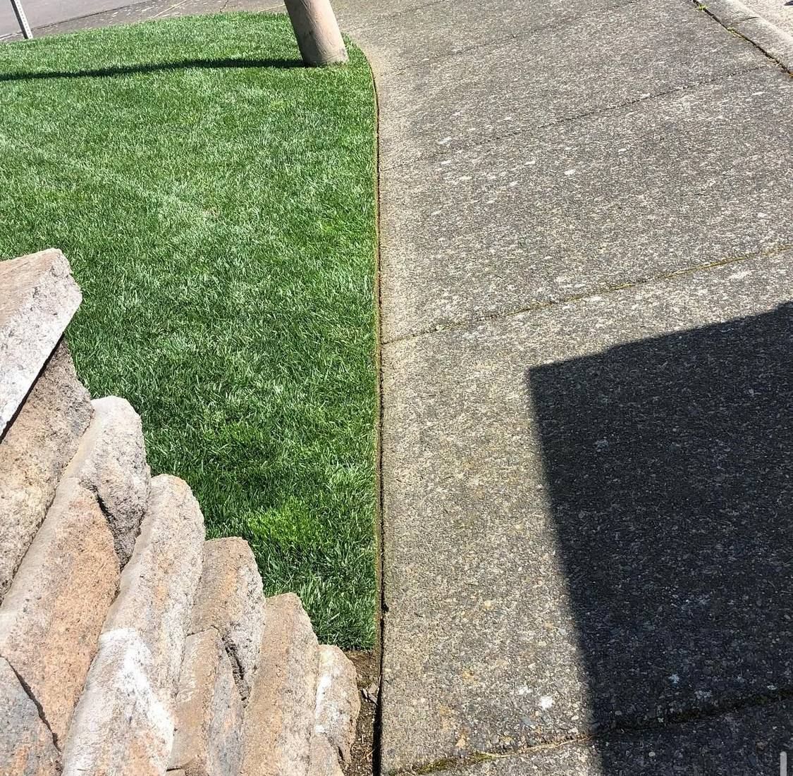 All Photos for Rs lawn Care llc in Beavertown, OR