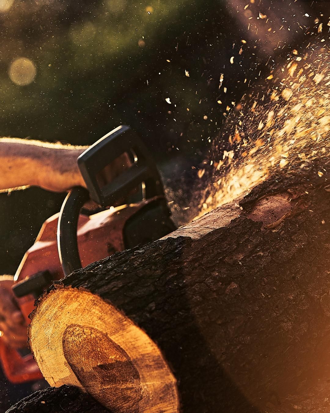 All Photos for Oakwood Tree Removal LLC in Oak Creek,  WI
