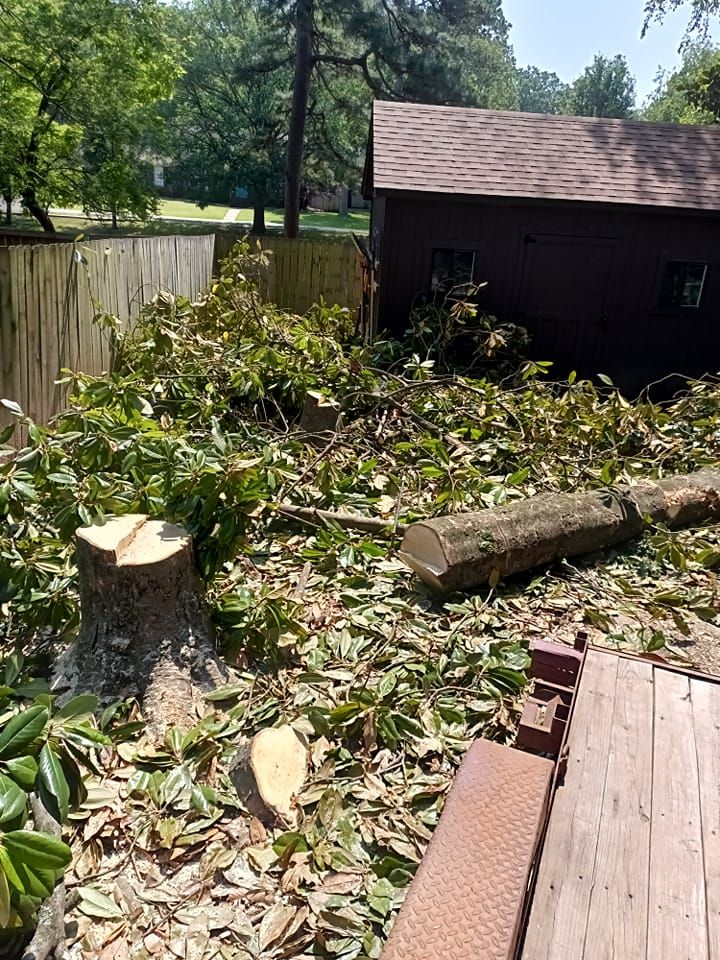  for Millers Tree Service in Saline County, AR