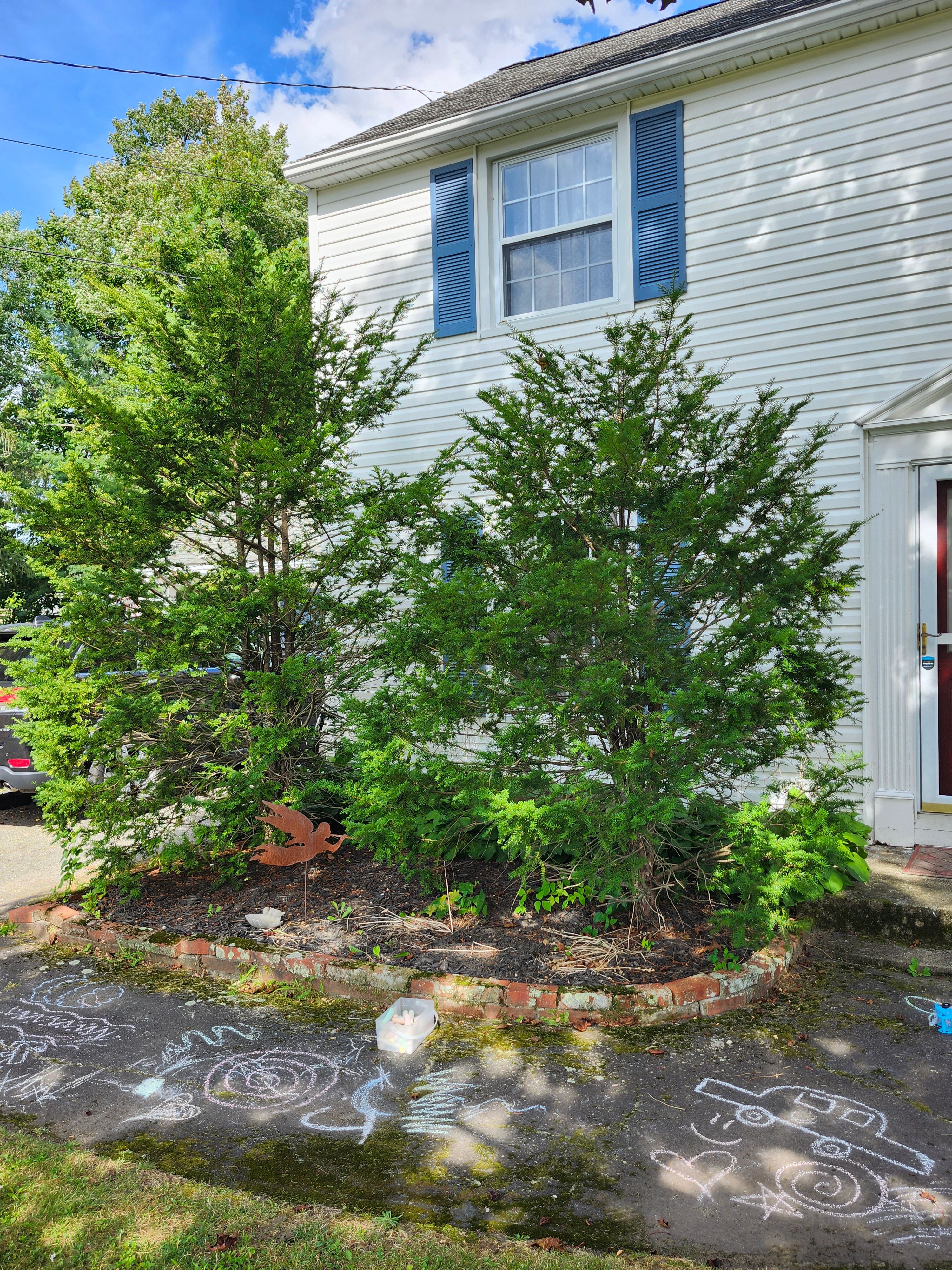 Hedge/Tree/Brush Cutting for Landscape Innovations LLC in Torrington, CT