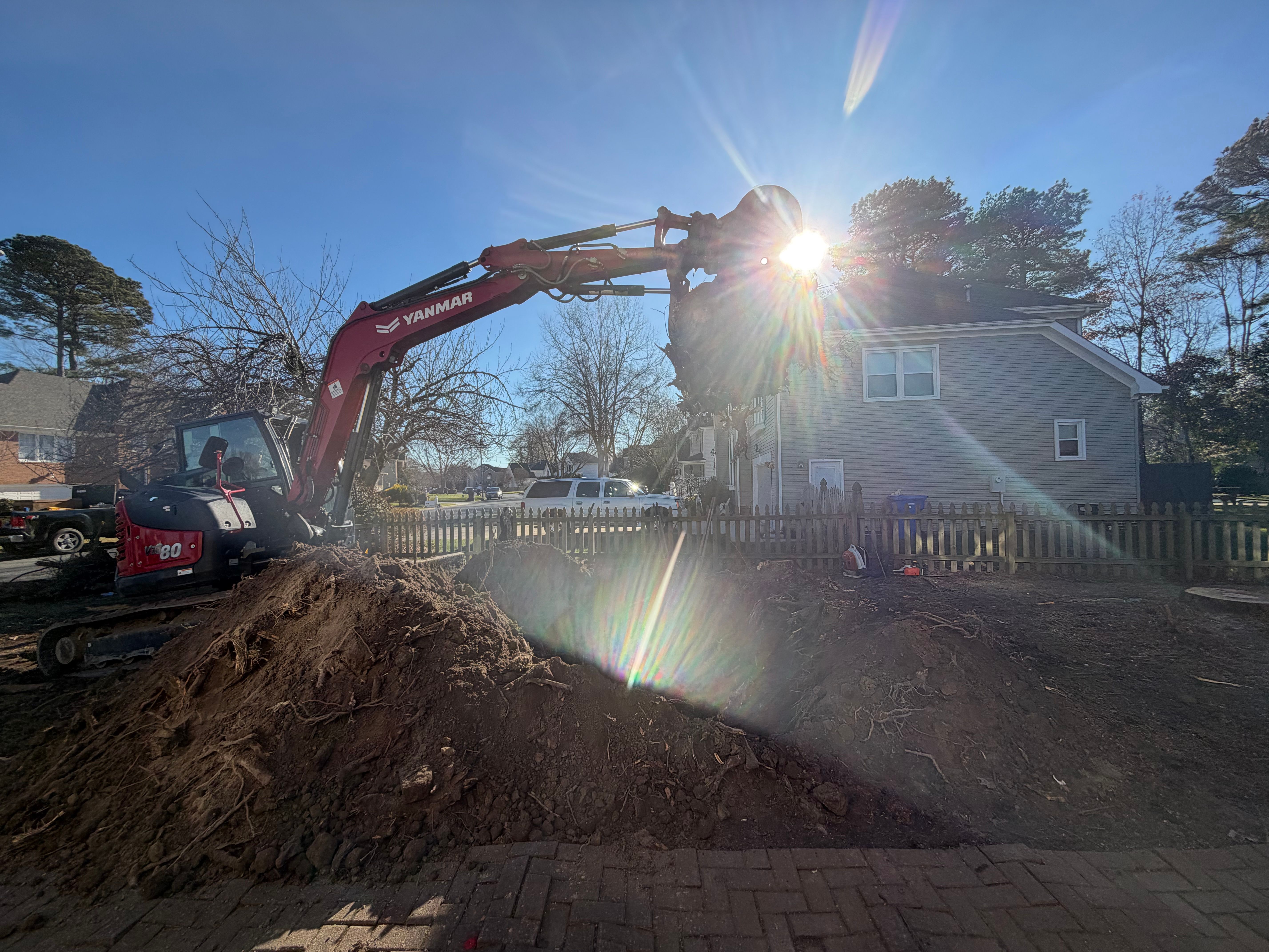  for Tidewater Tree Service in Chesapeake, VA