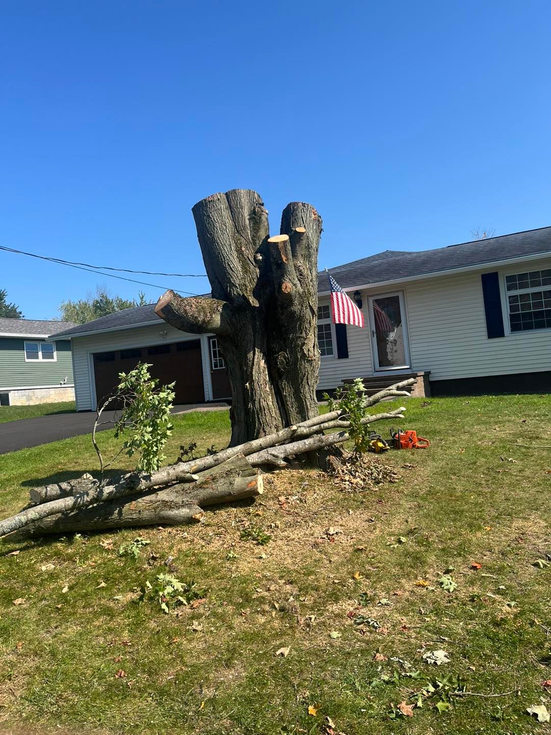  for Helfert Tree Service in Boonville, NY