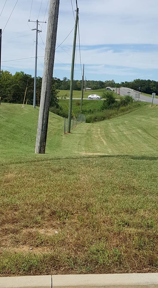  for Ordered Steps Landscaping in Rossville, GA