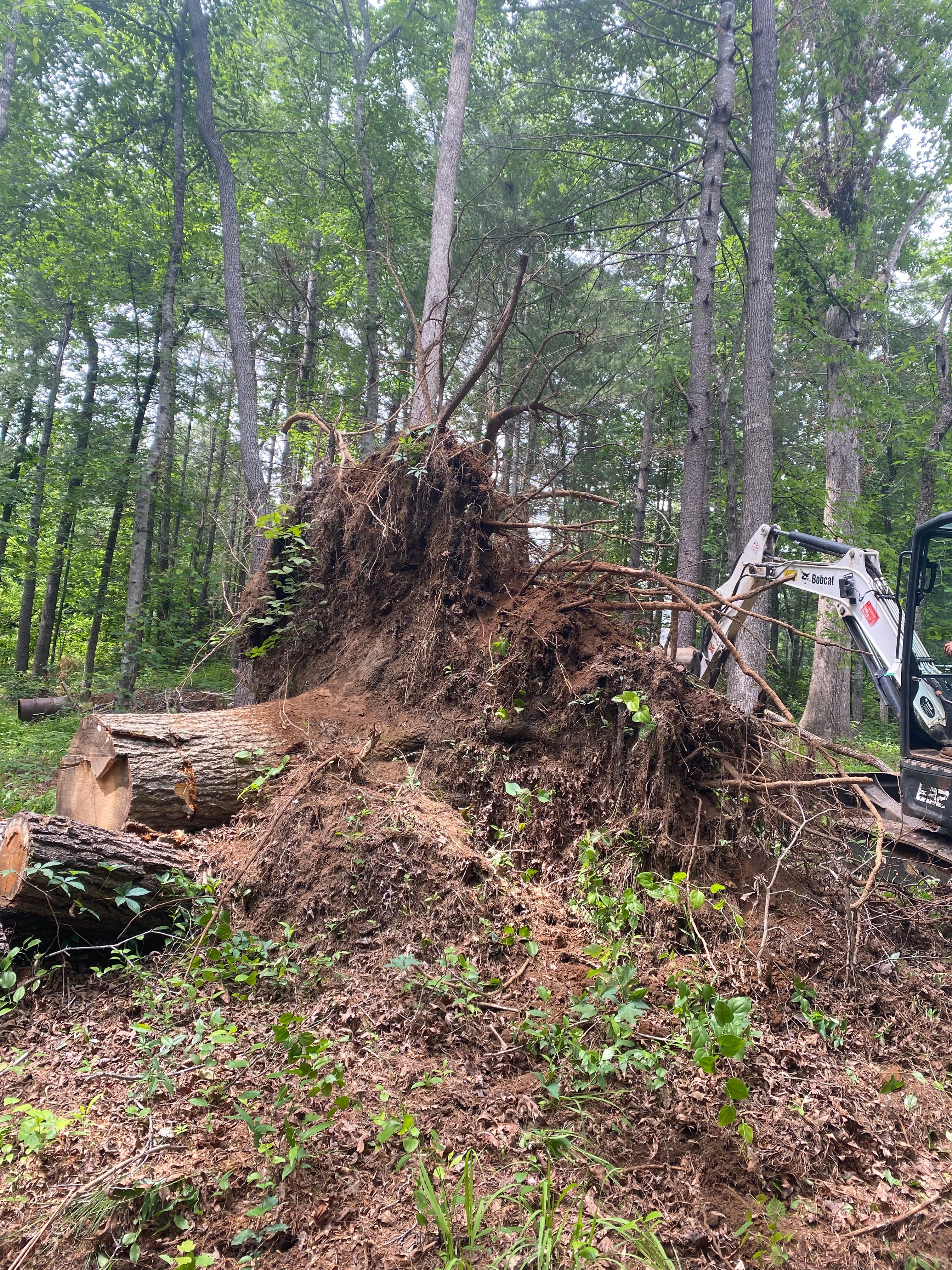 All Photos for Diversified Tree Company in Trinity, NC