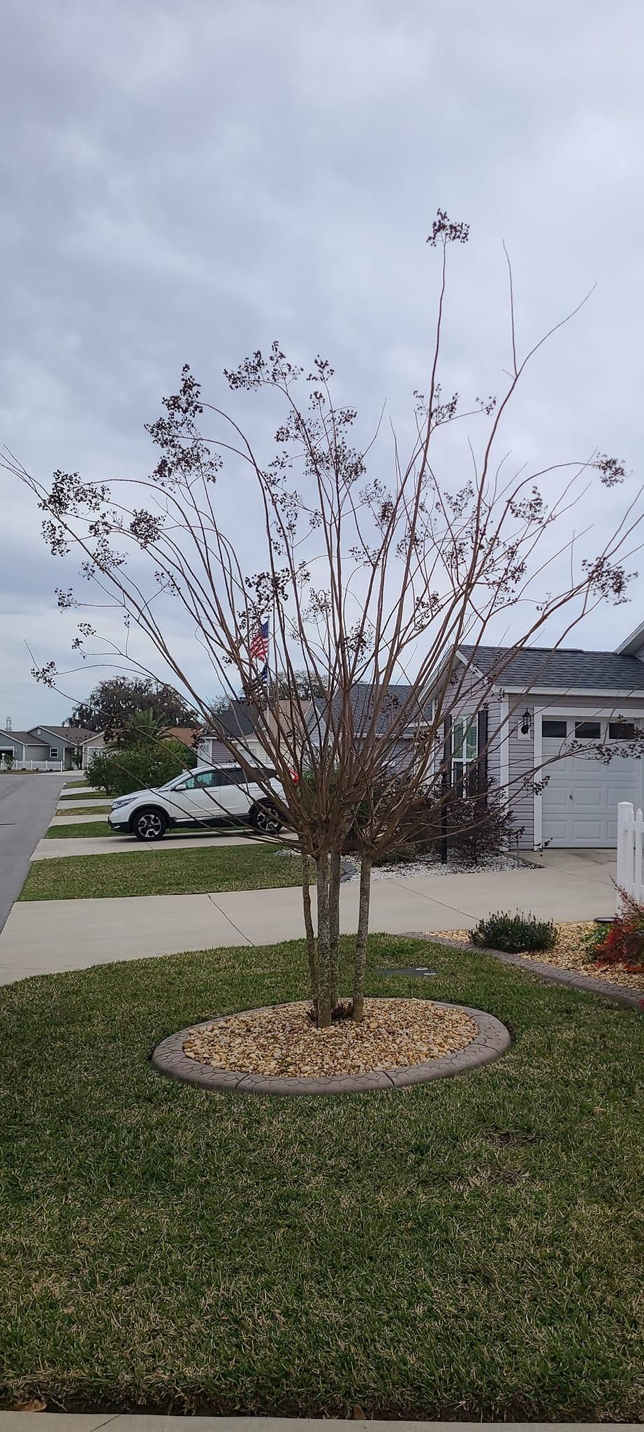  for TopNotch Landscaping Services  in The Villages, FL