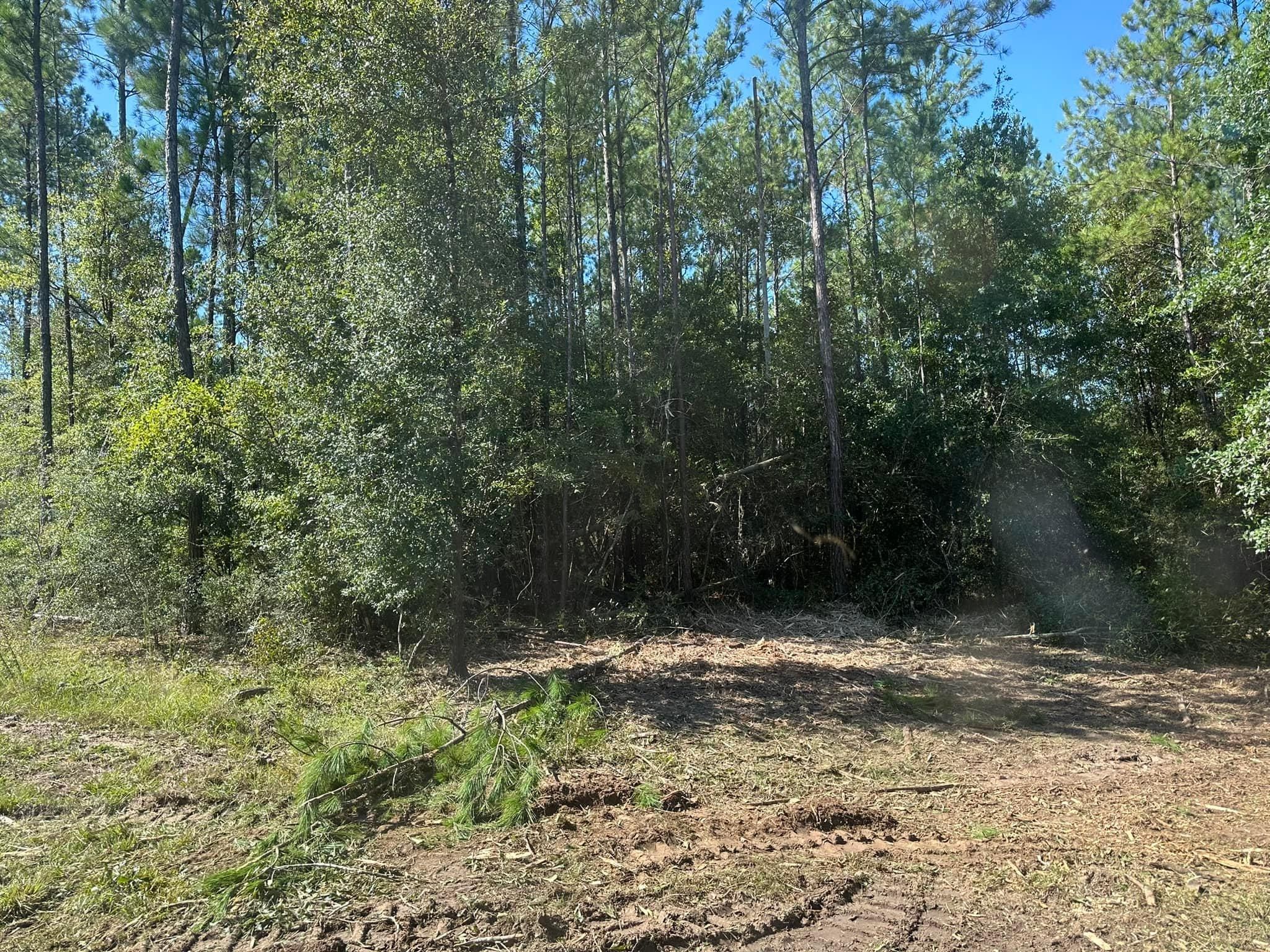 All Photos for White’s Land Maintenance in Milton,, FL