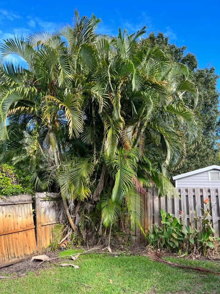  for Space Coast Property Maintenance and Management LLC in Melbourne, FL