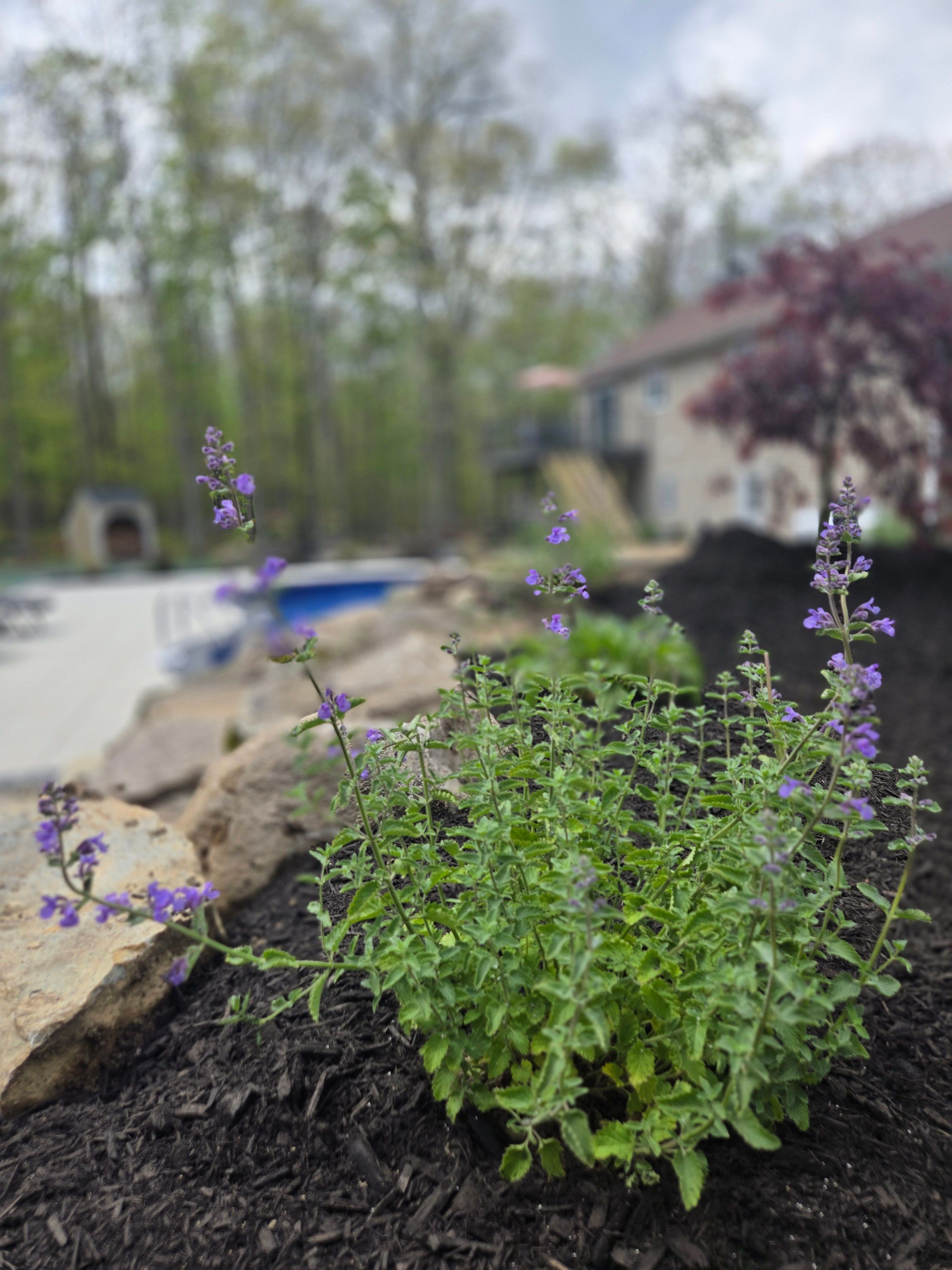  for Tony Monaco Landscaping Inc. in Orange County, NY
