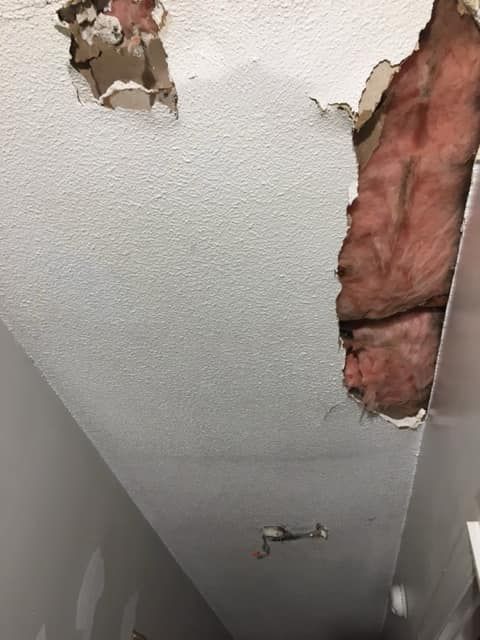  for Ivy League Maintenance Services LLC in Savannah, GA
