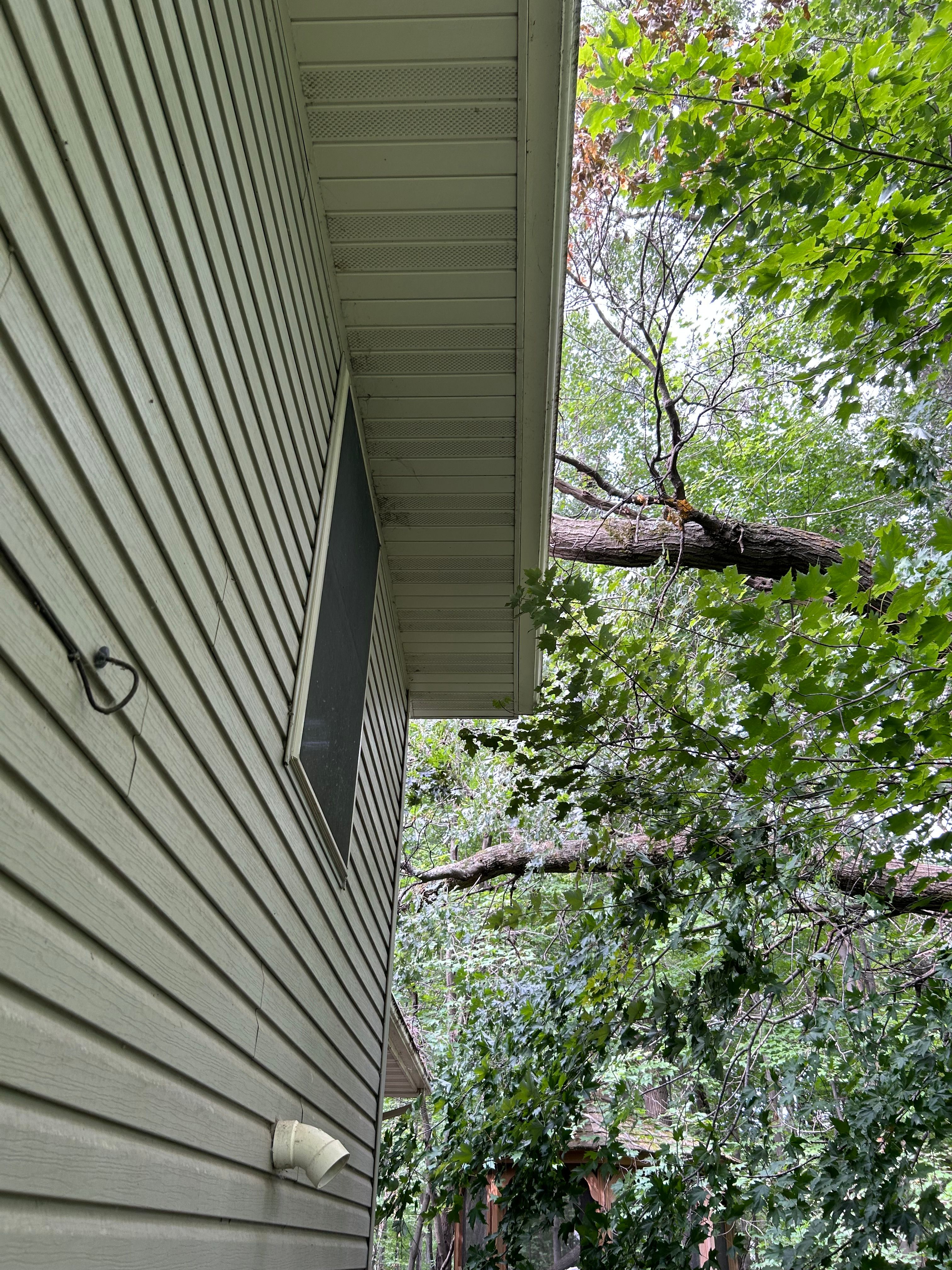 All Photos for Allstate Tree Service in Fridley, MN