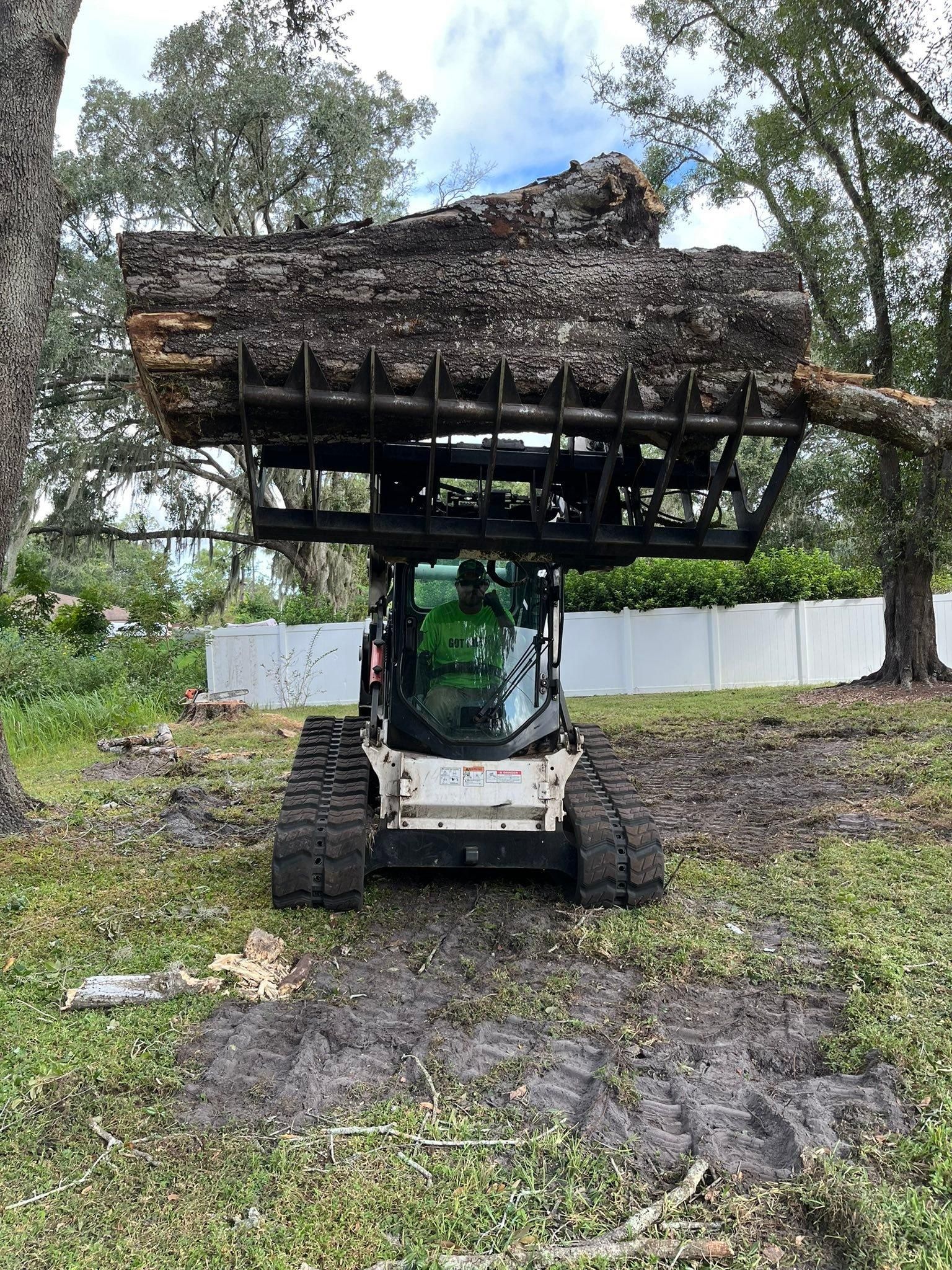  for Bills Tree Service in Valrico, FL