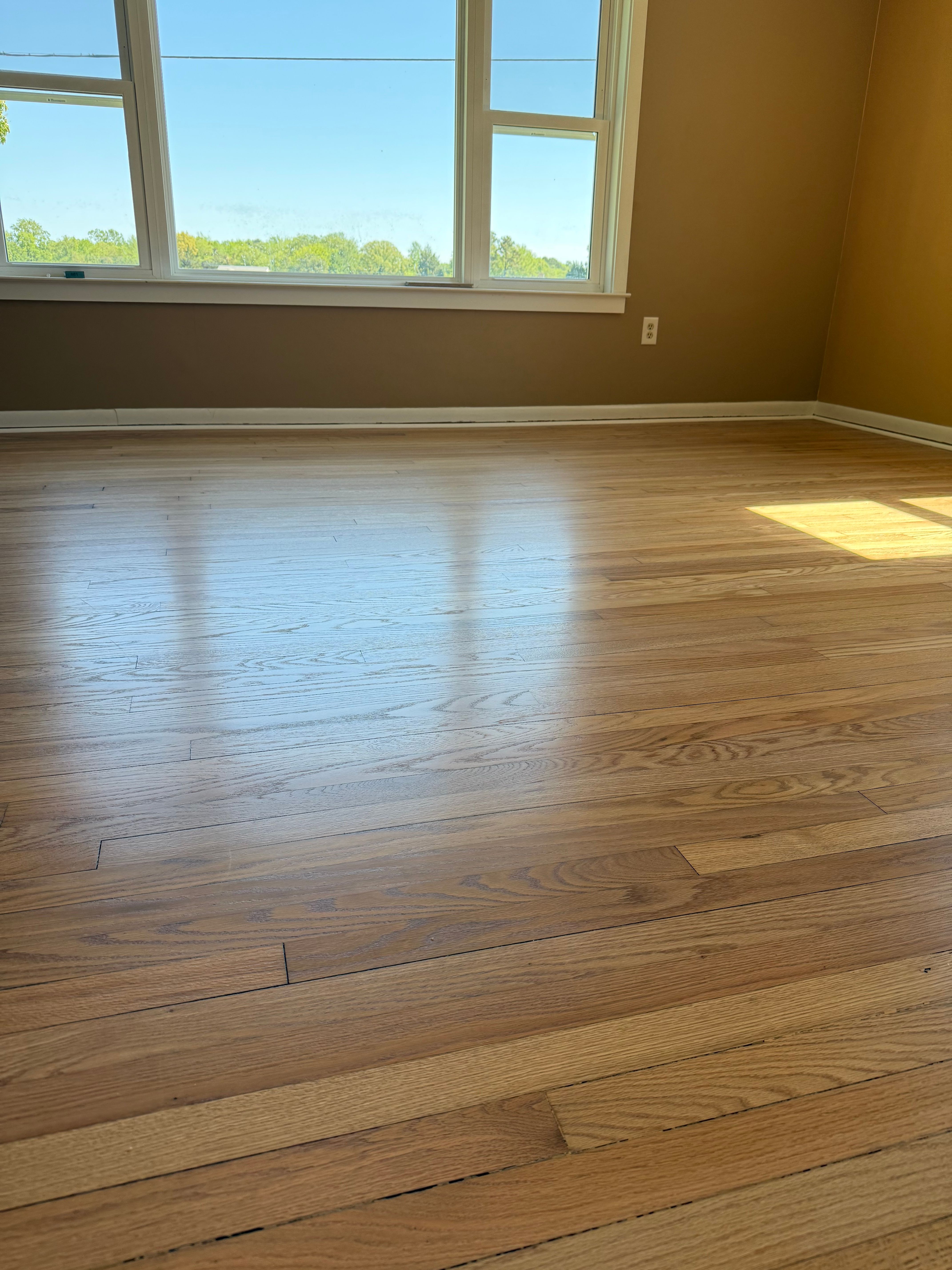 for Finely Finished LLC in Wyoming, DE