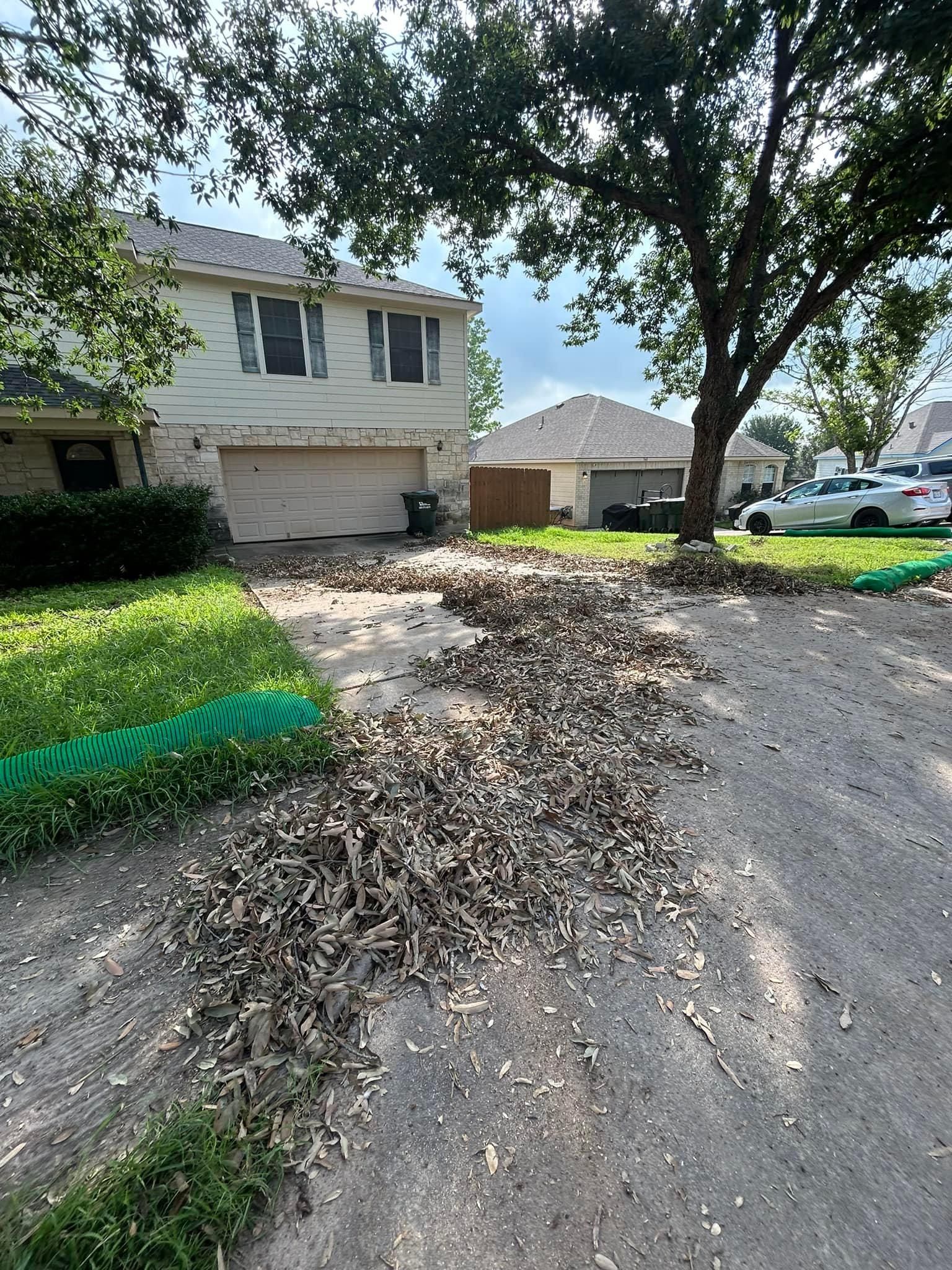 All Photos for Green Turf Landscaping in Kyle, TX