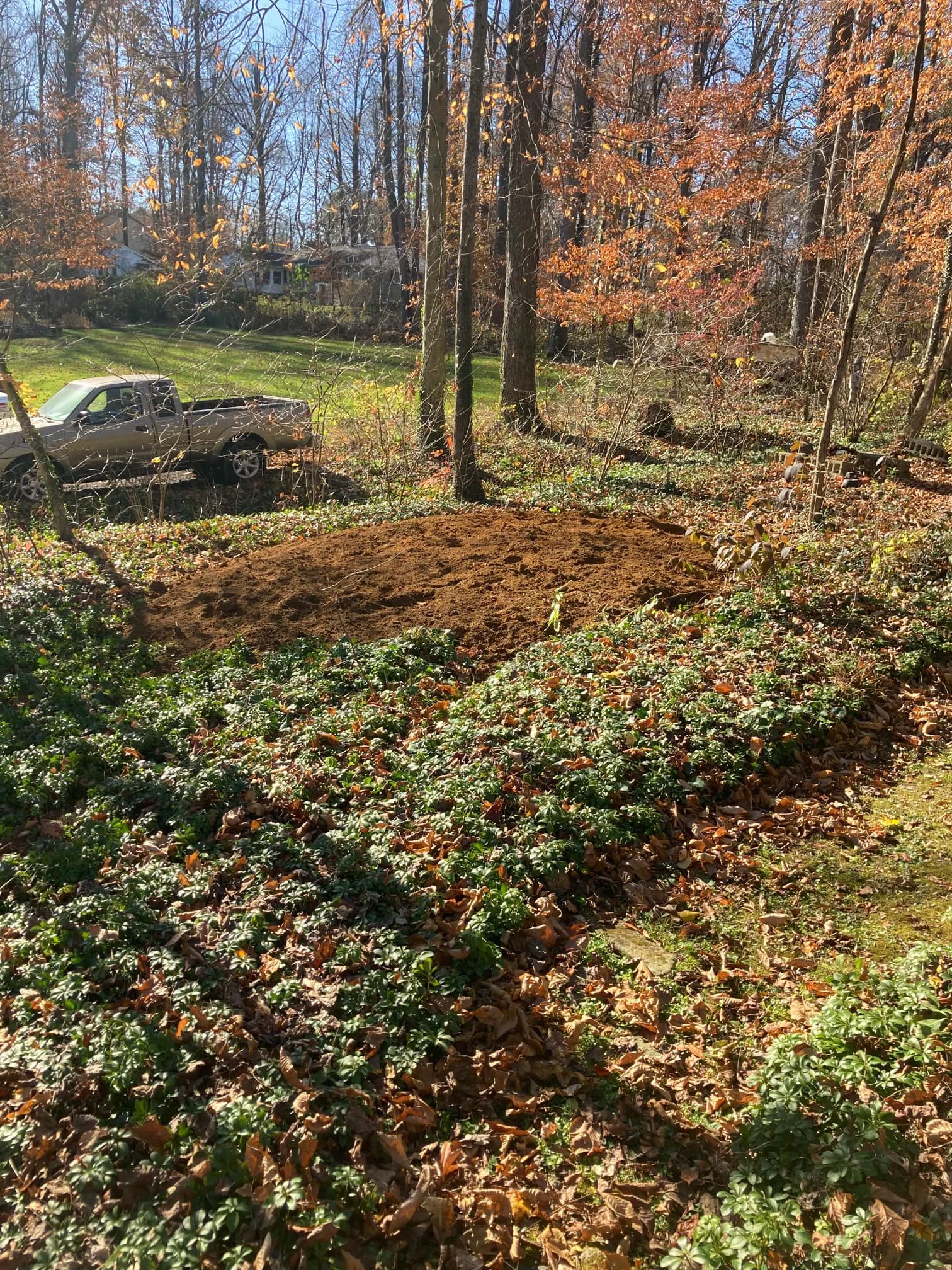 All Photos for Mad Dust Stump Grinding in Howard County, MD