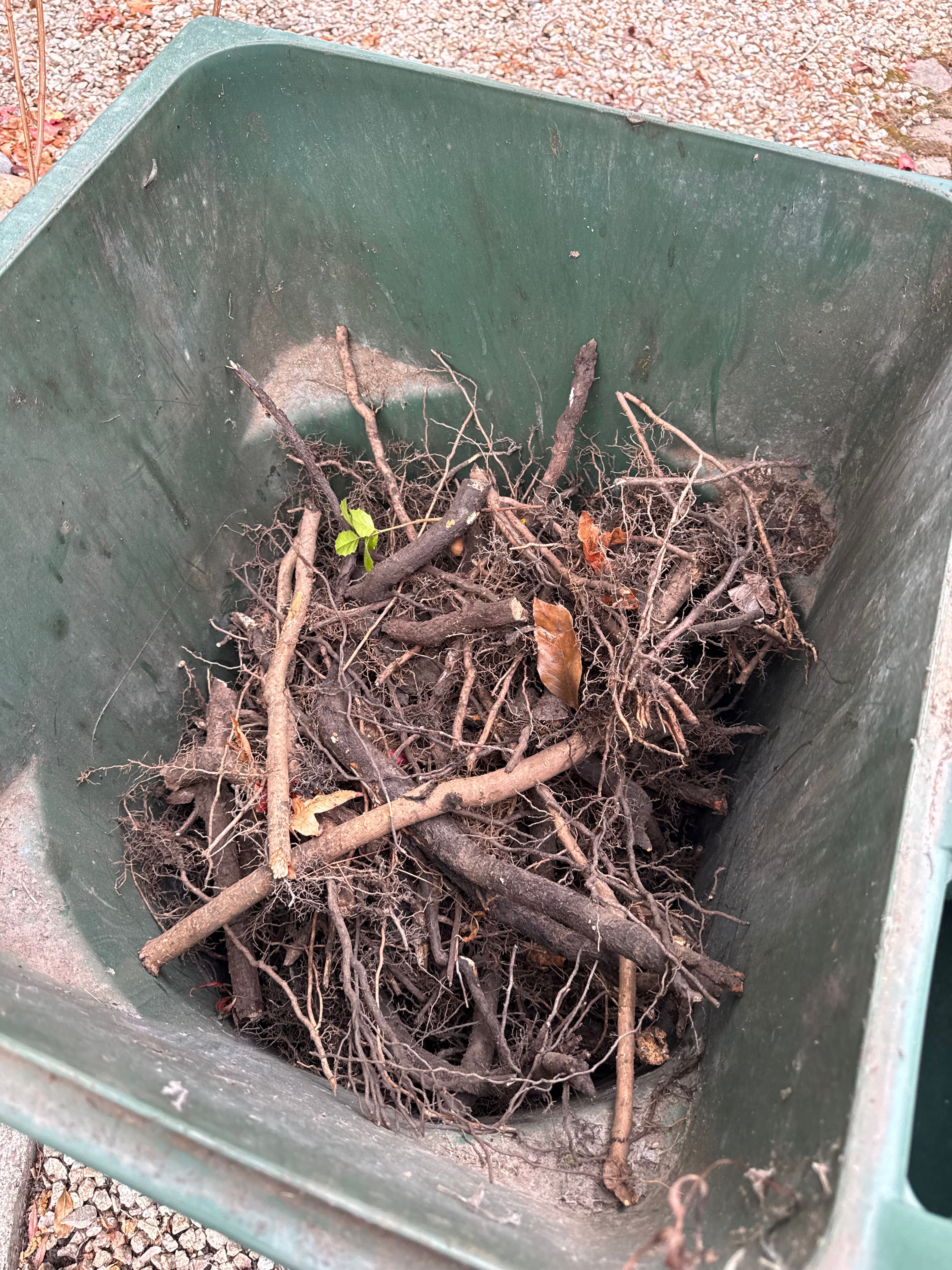  for CBA Landscaping in Hayward, CA