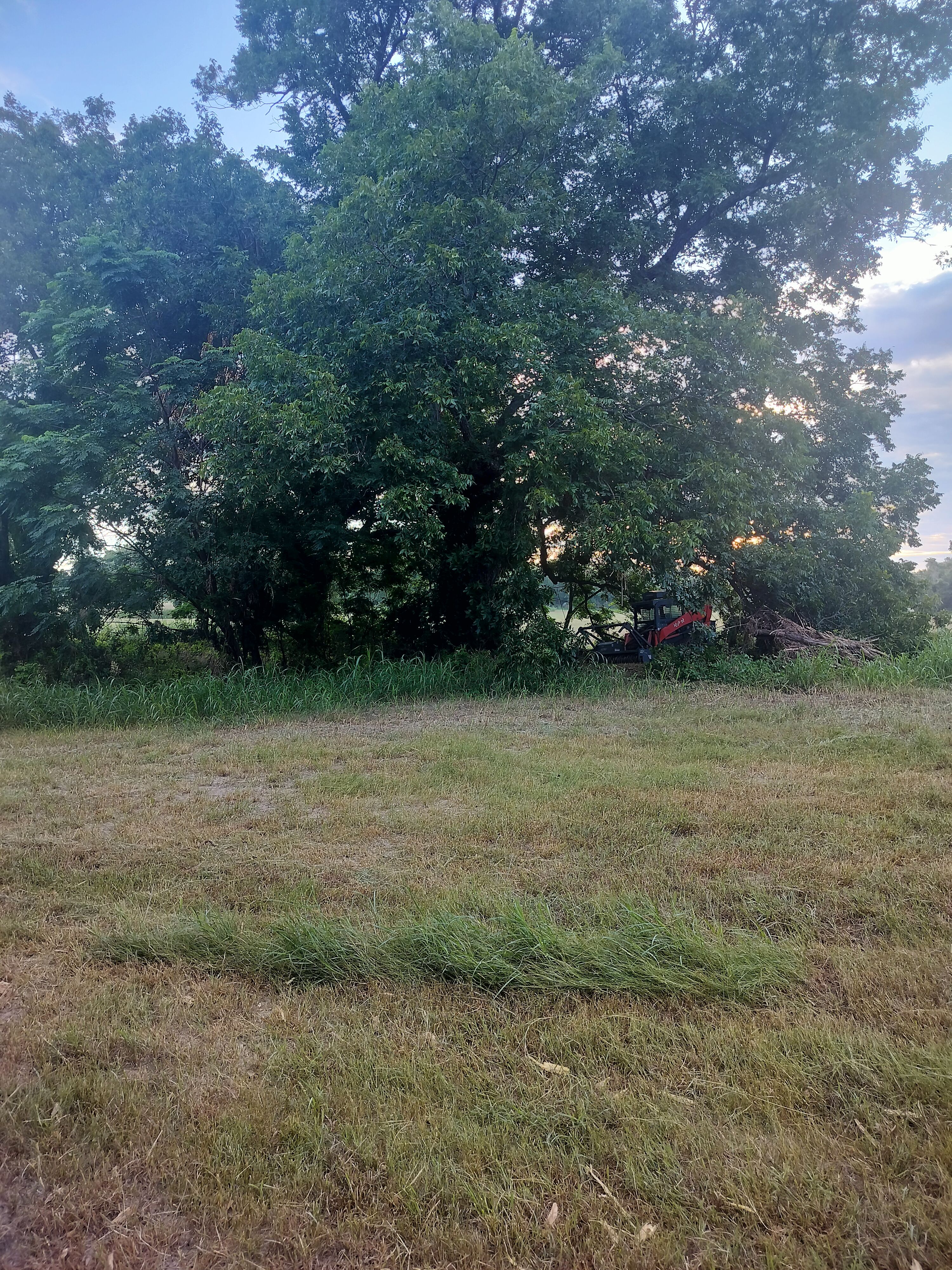  for 512 Land Clearing in Blanco County, TX