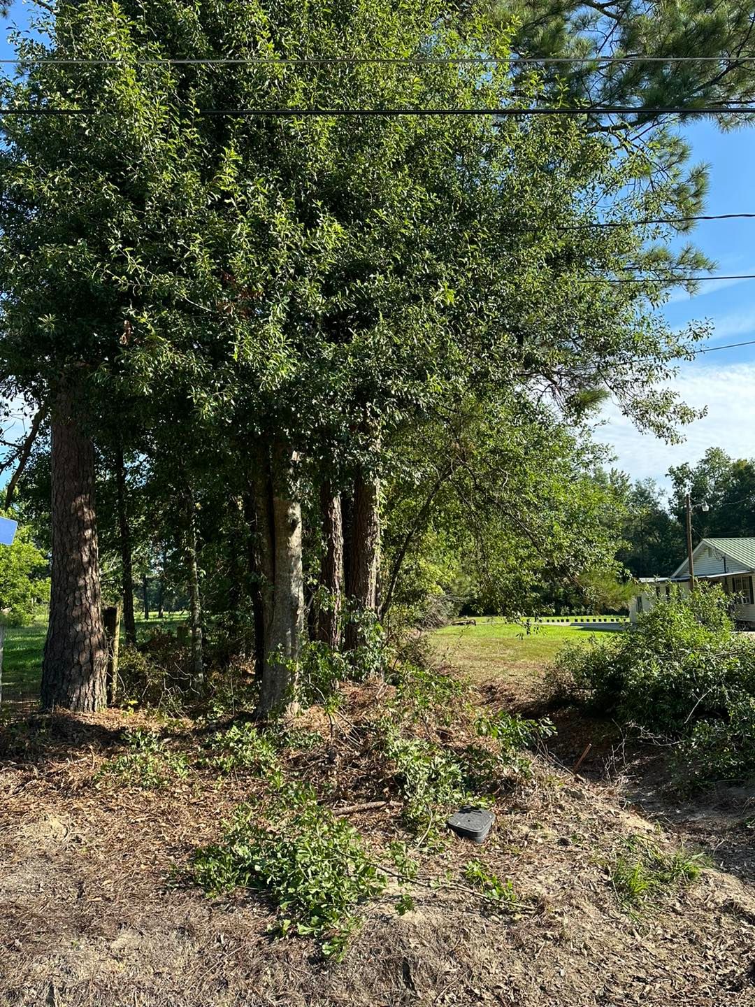  for River Rooted Construction in Loranger, LA