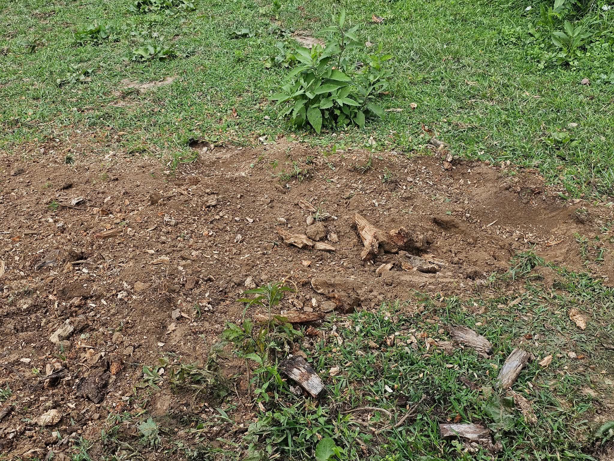  for I and R Stump Grinding in Thornville, OH